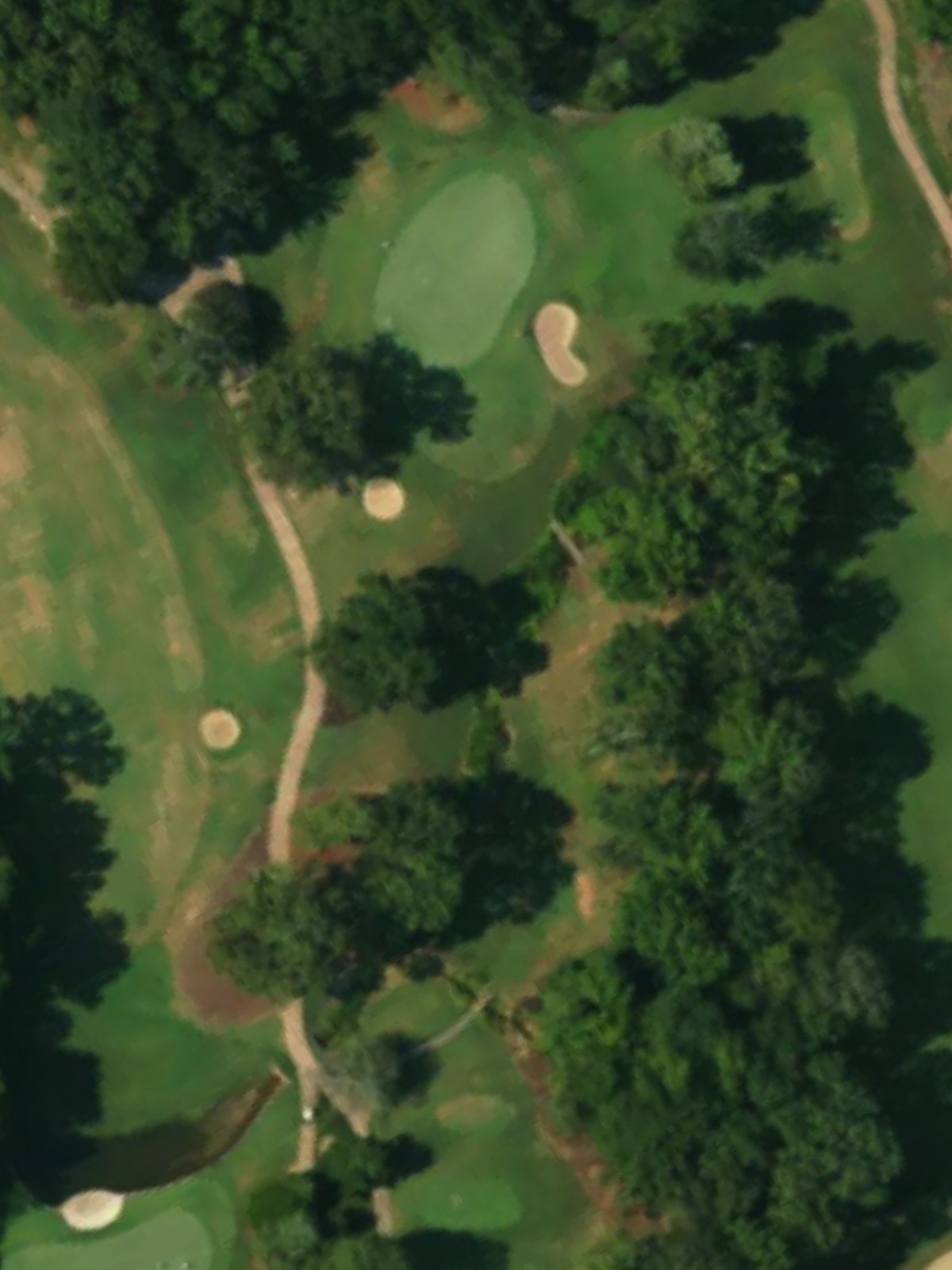 Hole 7 satellite