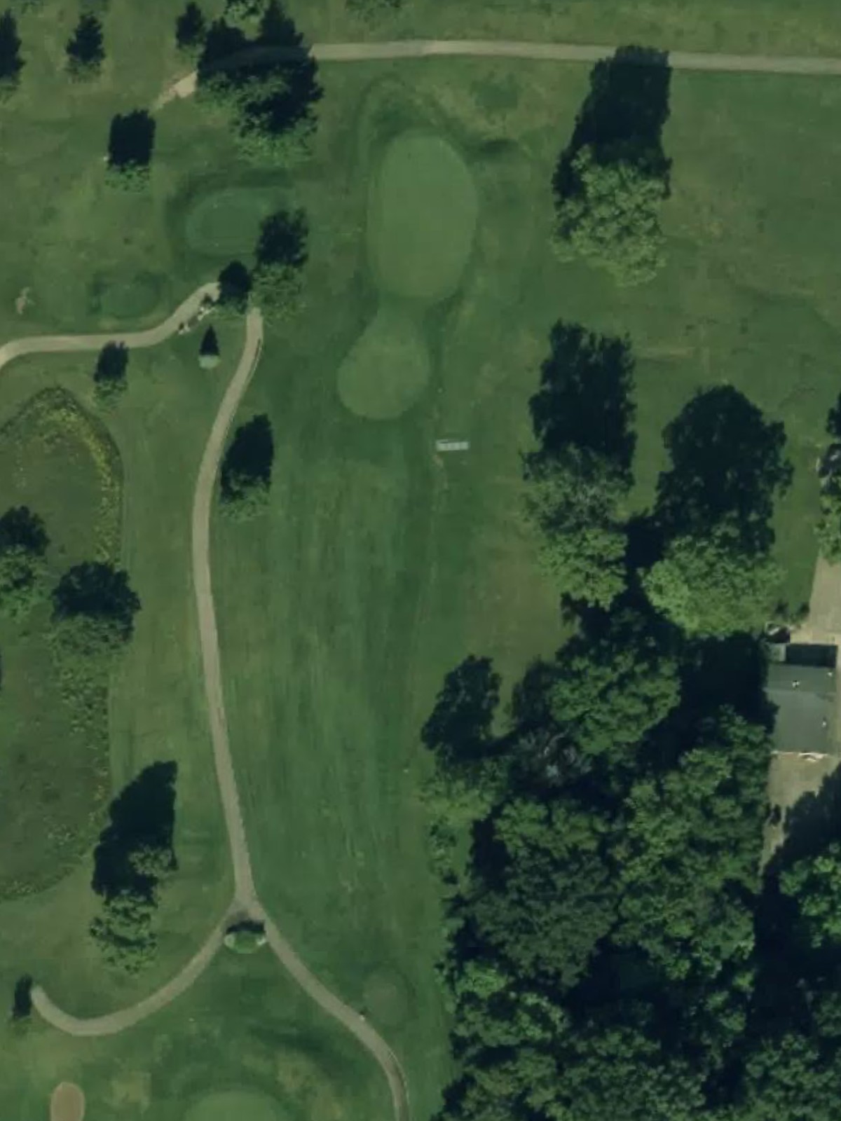 Hole 7 satellite