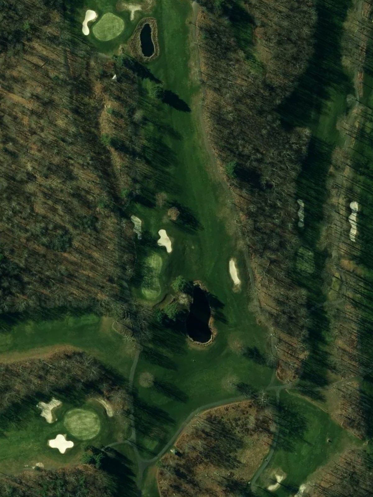 Hole 7 satellite
