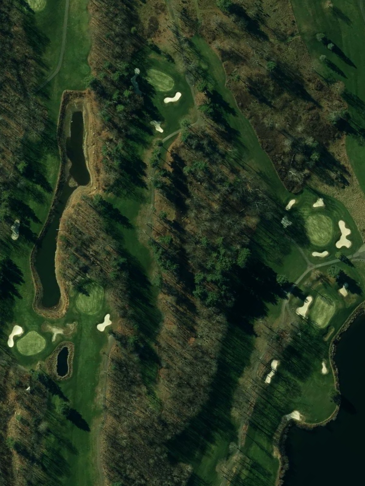 Hole 8 satellite