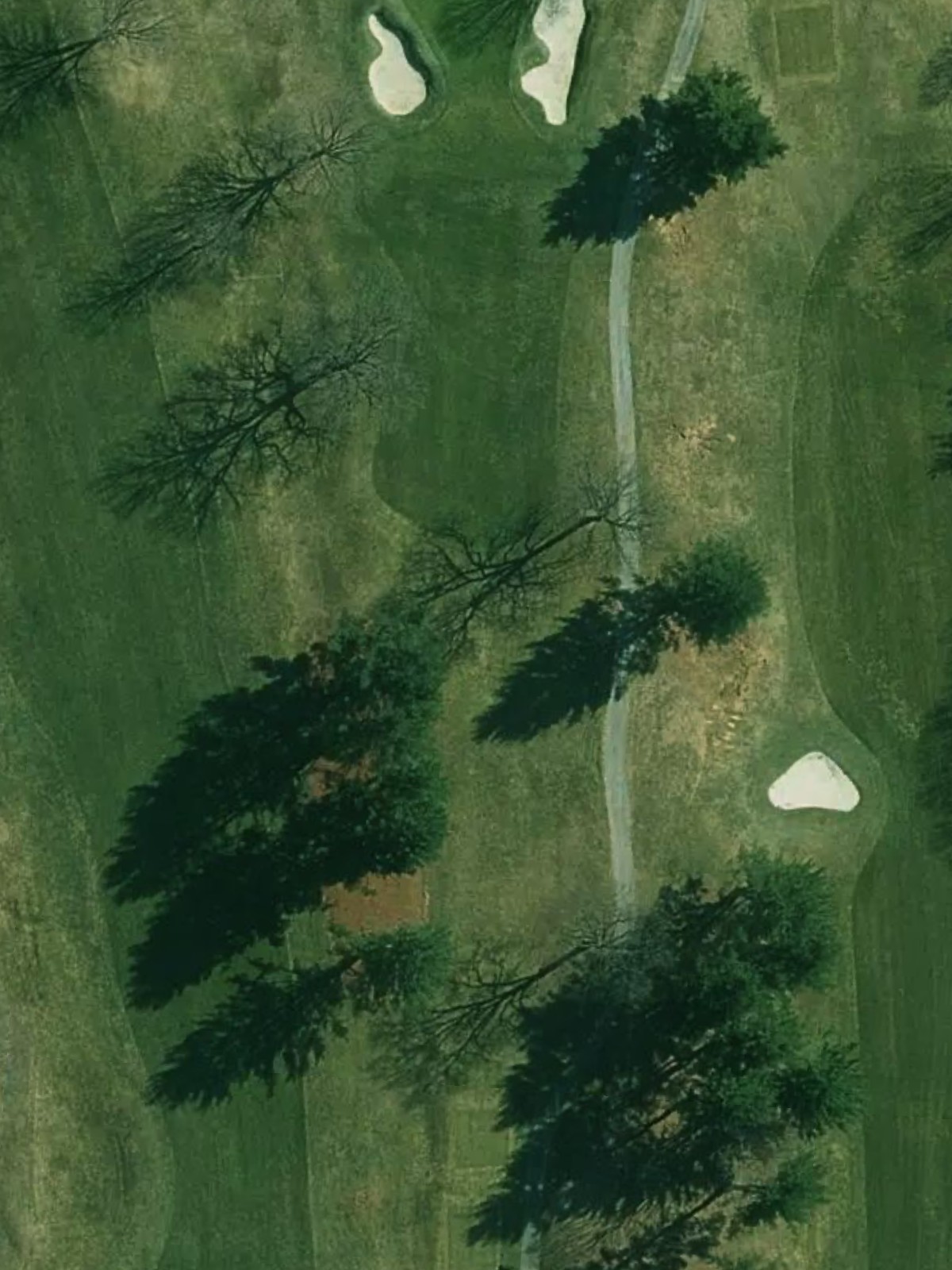 Hole 8 satellite