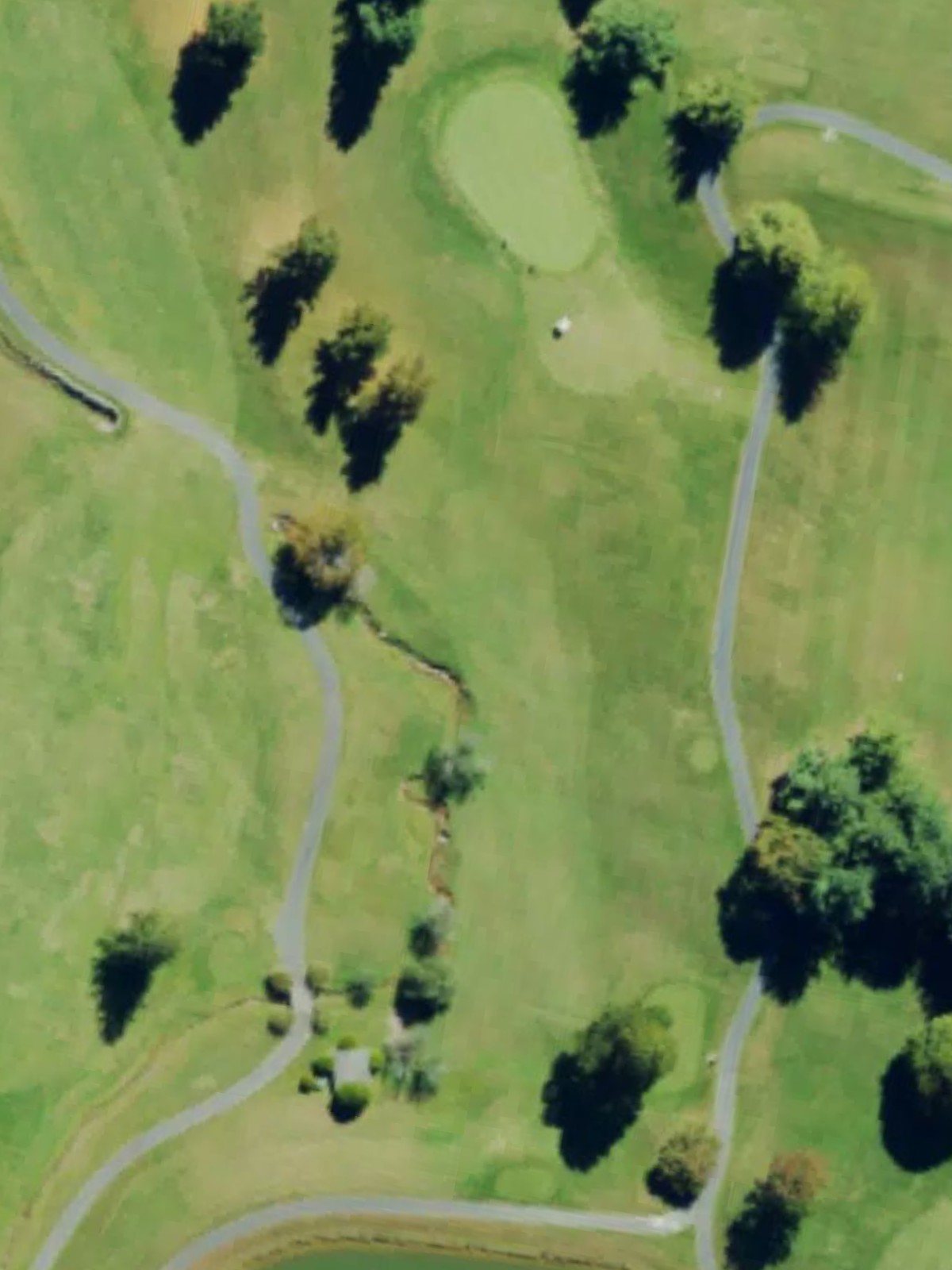 Hole 7 satellite