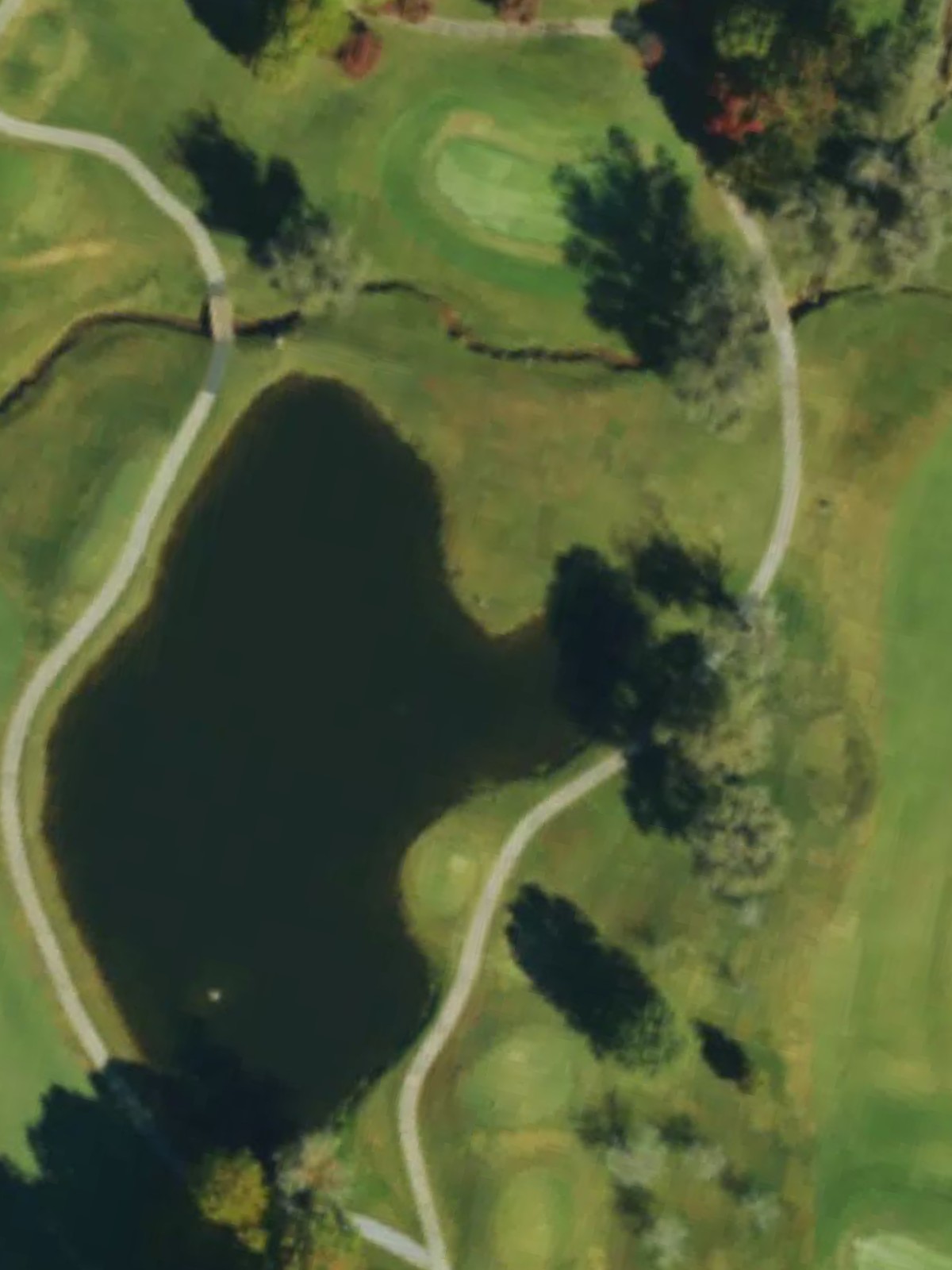 Hole 7 satellite
