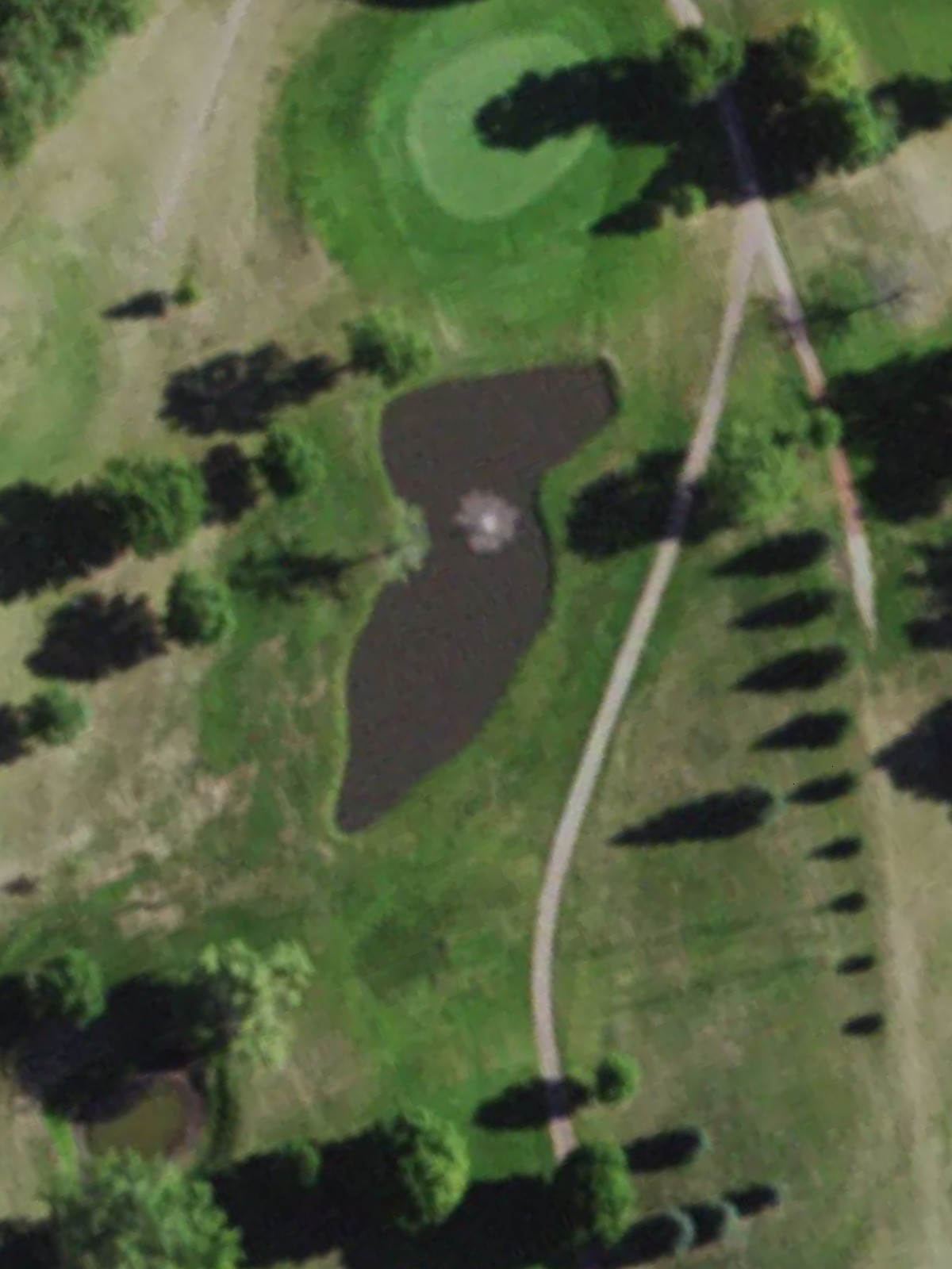 Hole 4 satellite