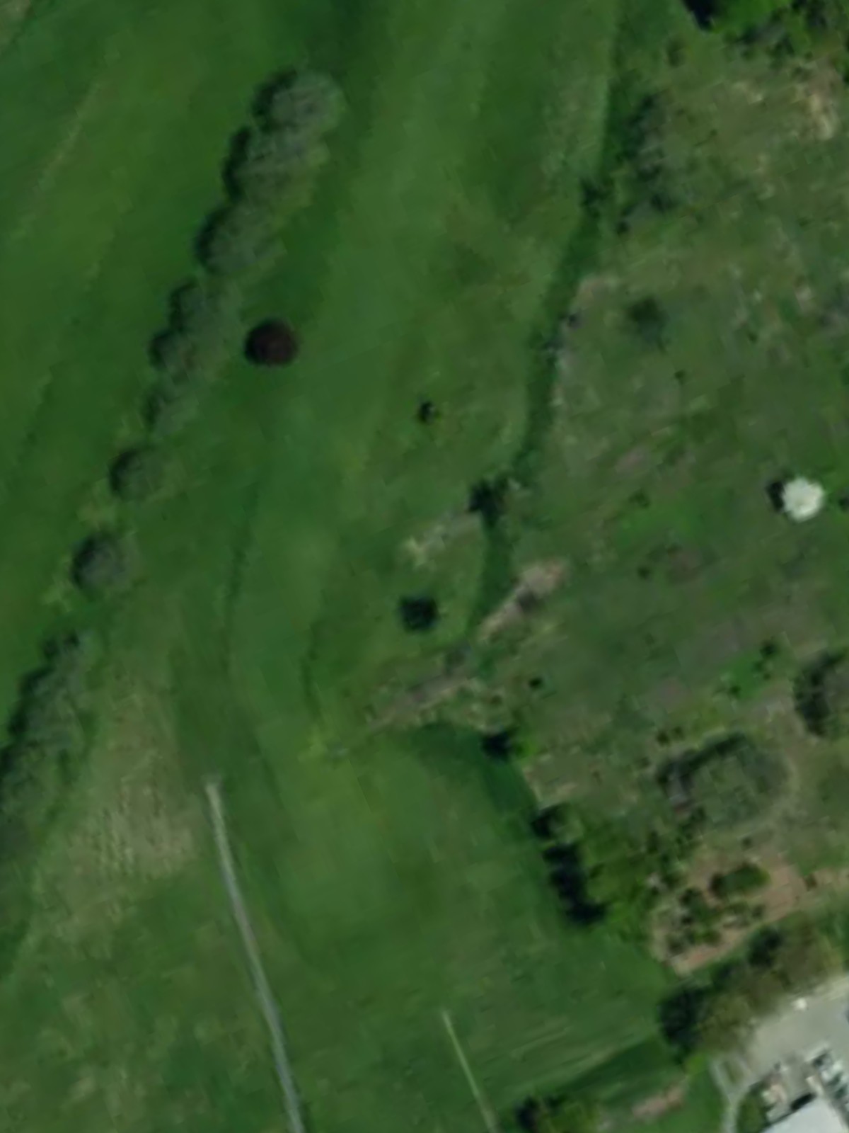 Hole 7 satellite