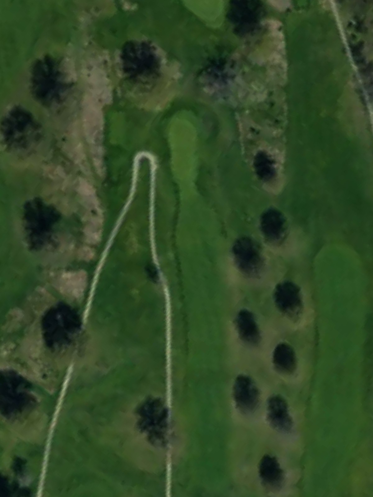 Hole 15 satellite