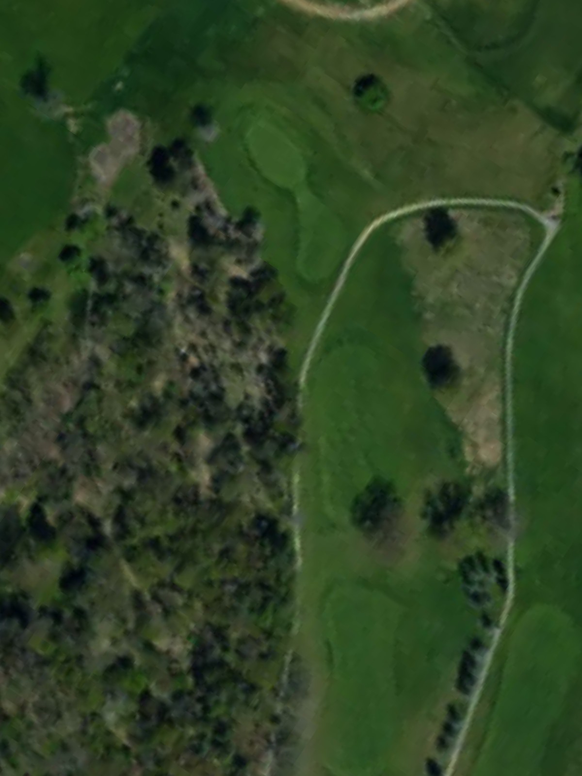 Hole 8 satellite