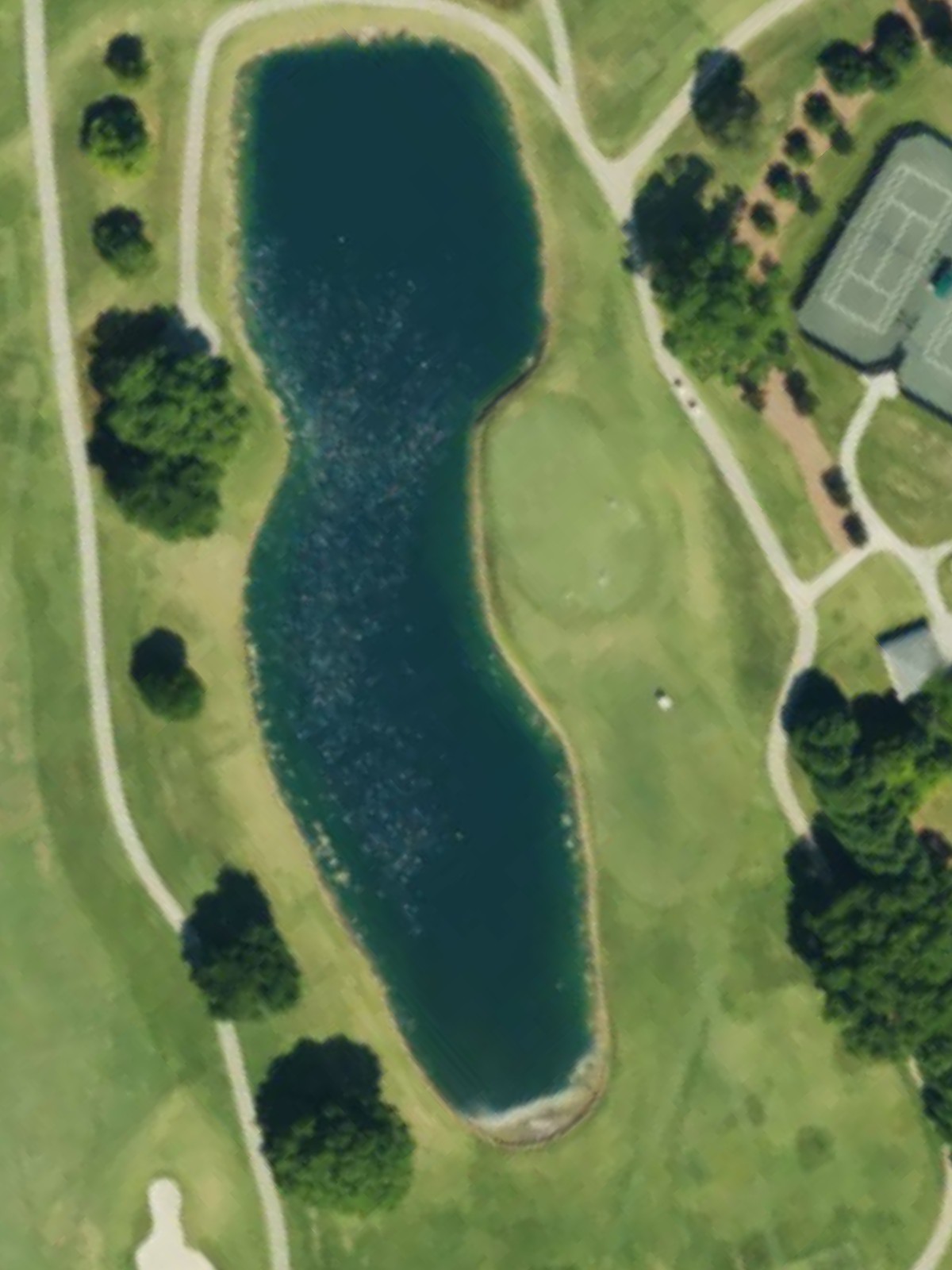 Hole 7 satellite