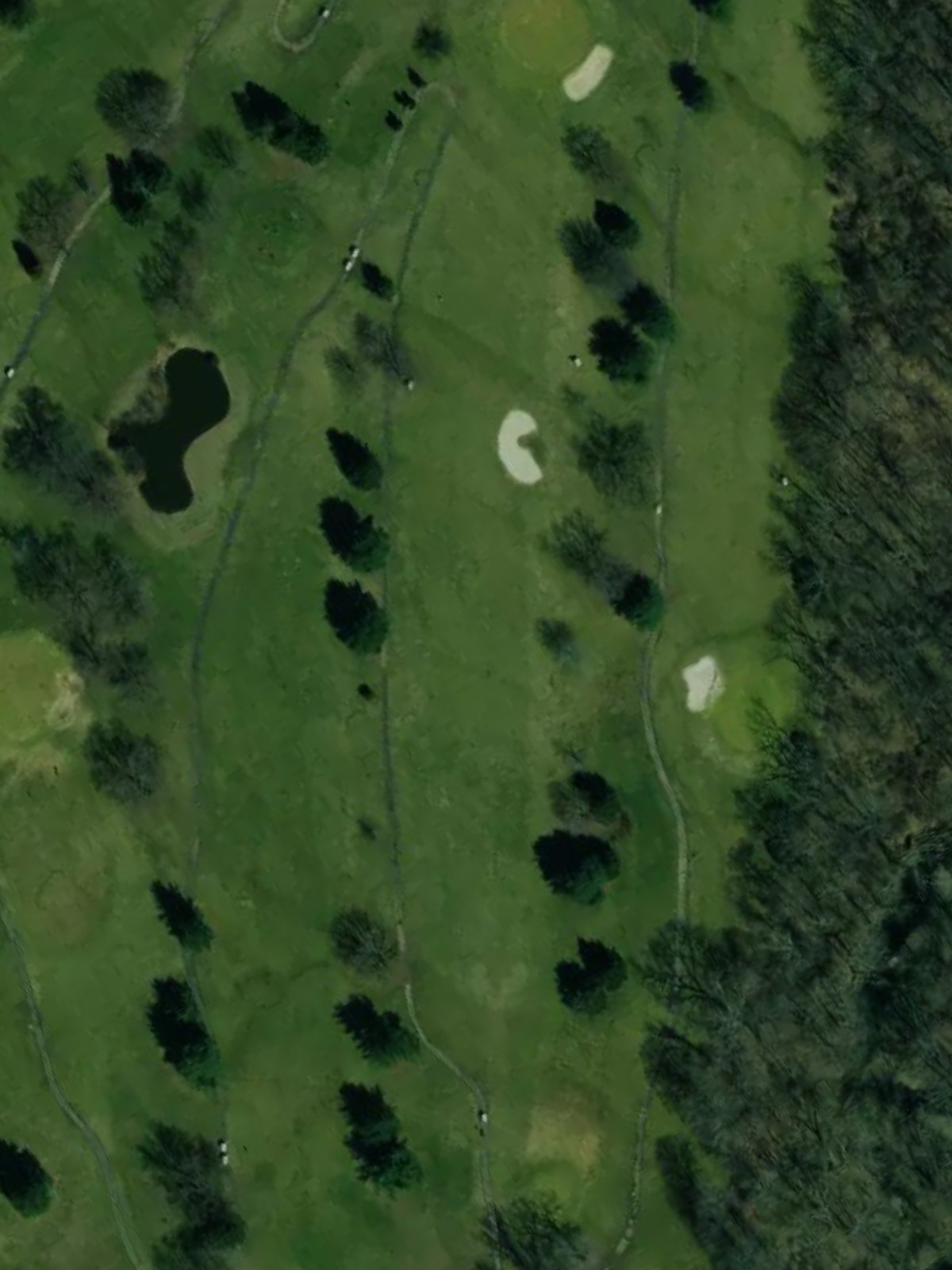 Hole 4 satellite