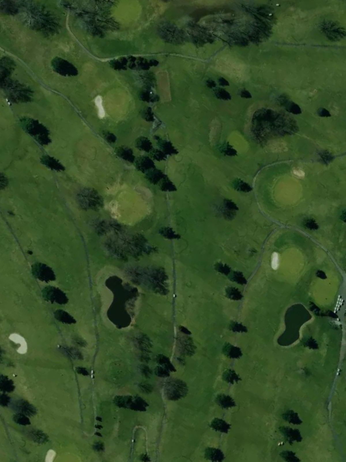 Hole 7 satellite