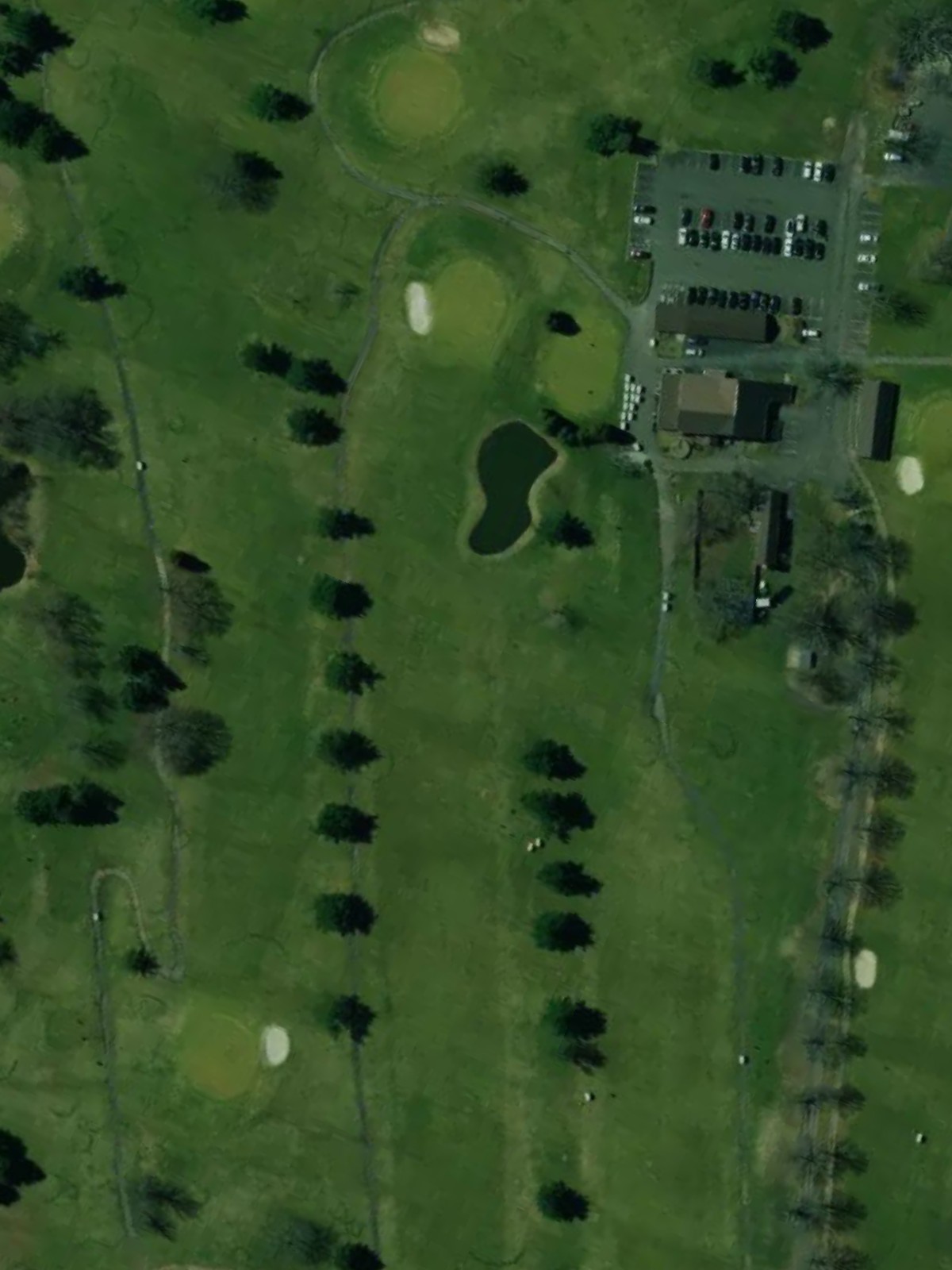 Hole 9 satellite