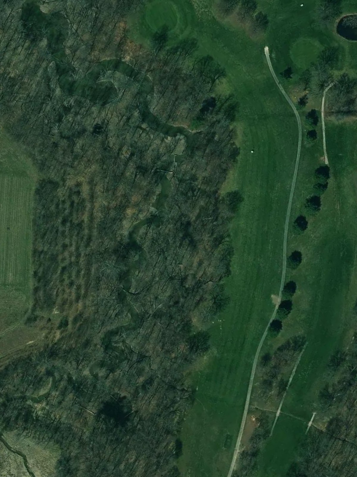 Hole 1 satellite