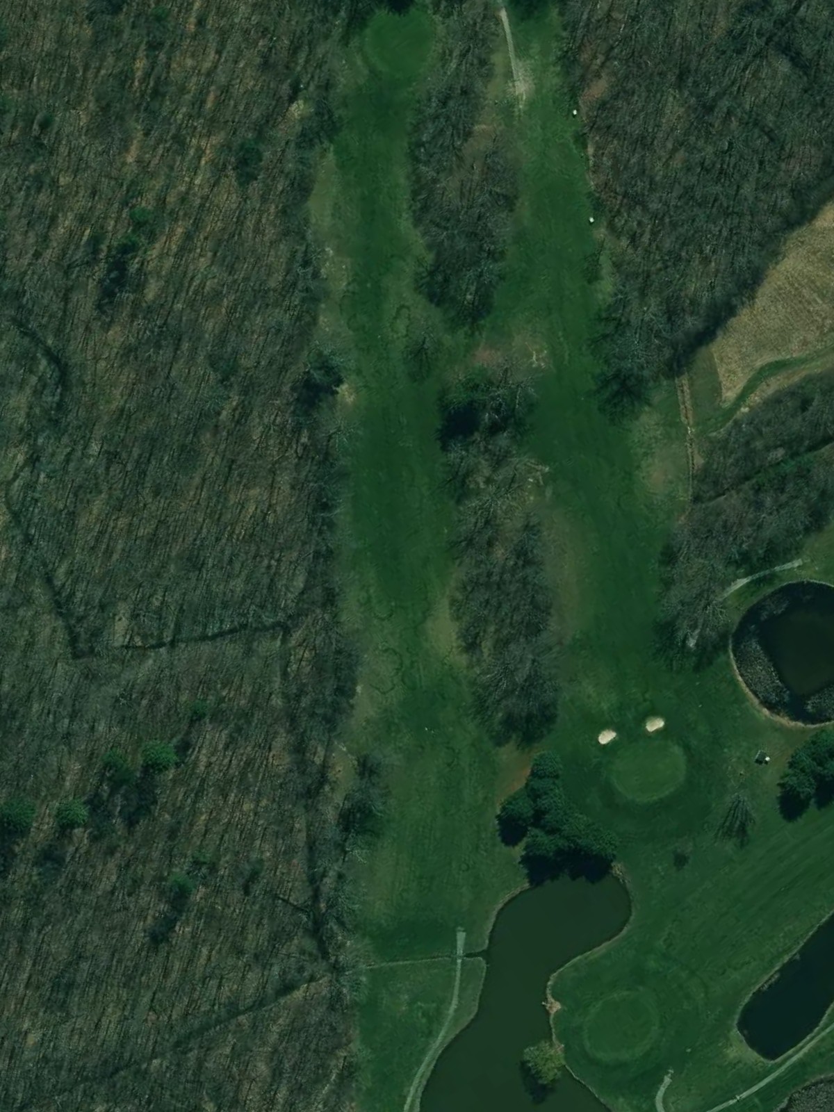 Hole 6 satellite