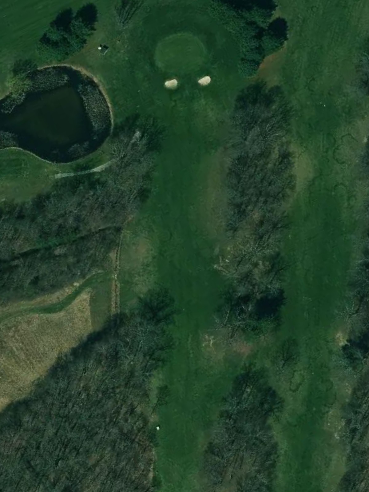 Hole 7 satellite