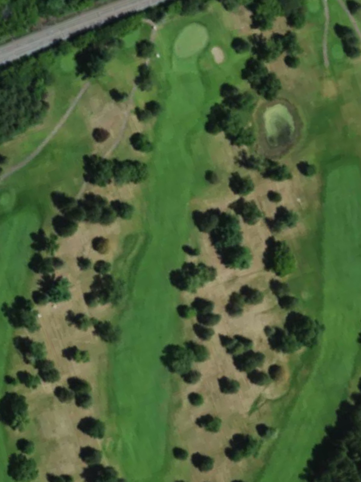 Hole 10 satellite