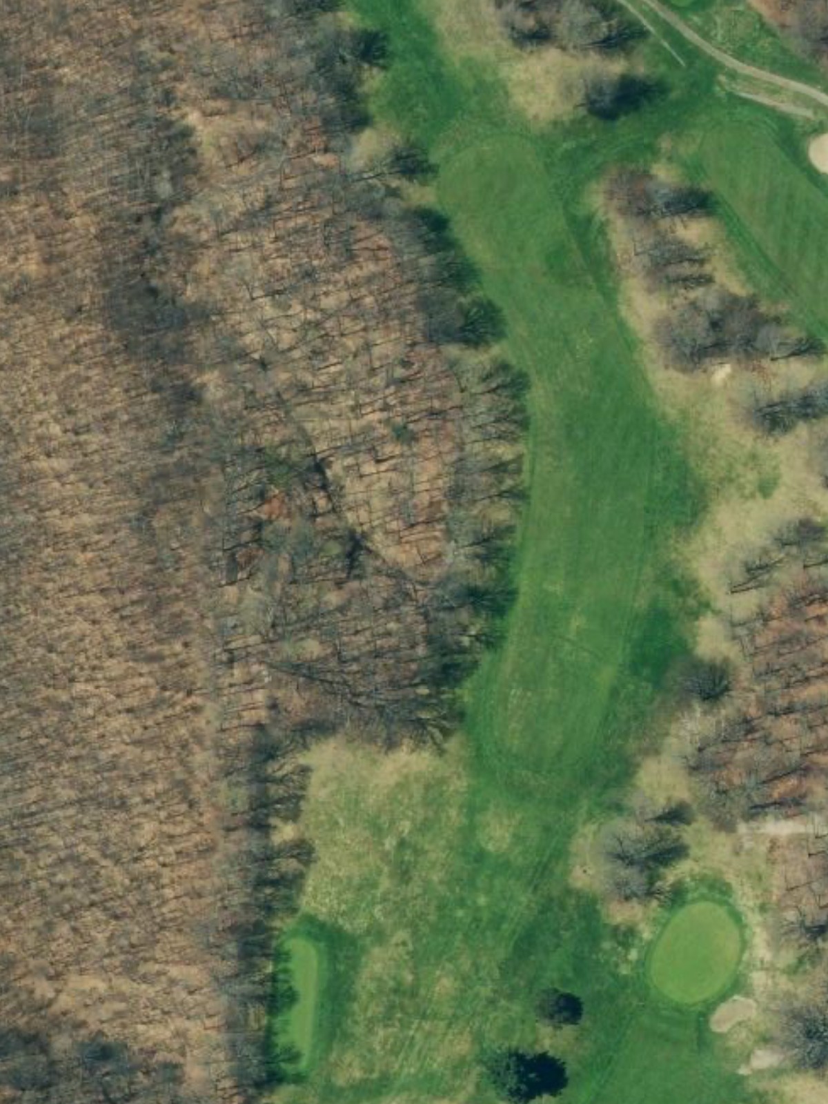 Hole 15 satellite
