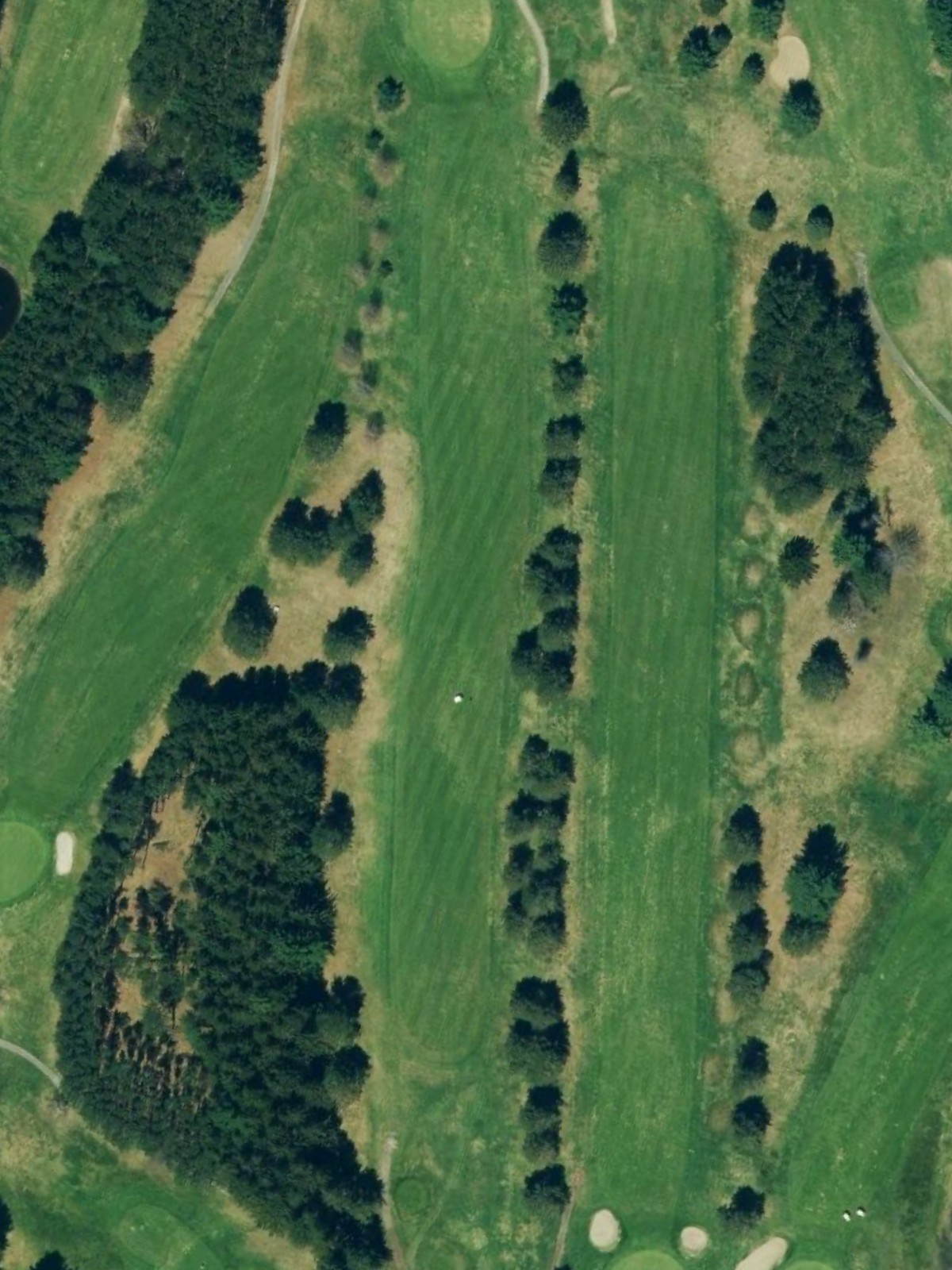 Hole 7 satellite