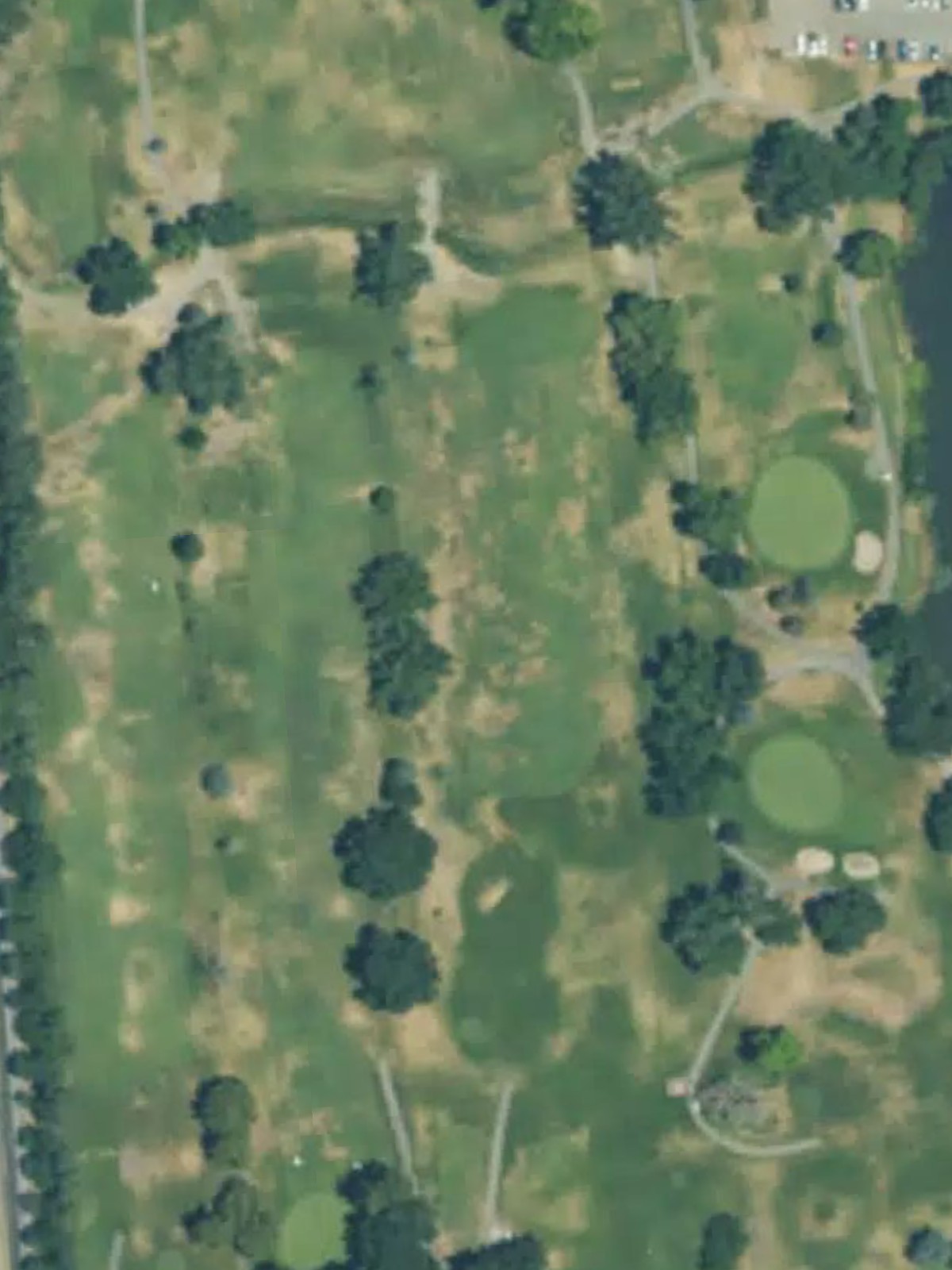 Hole 7 satellite