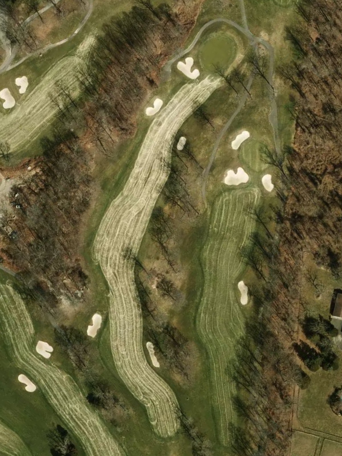 Hole 7 satellite