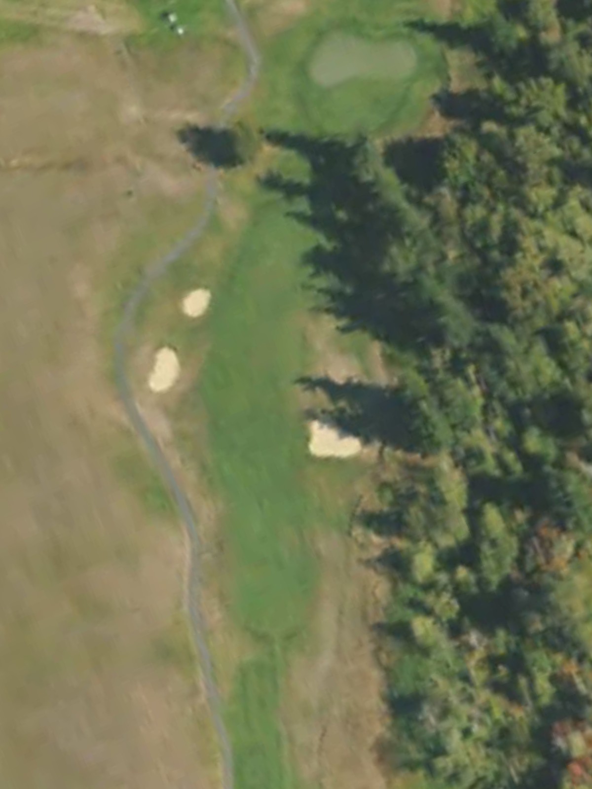 Hole 7 satellite