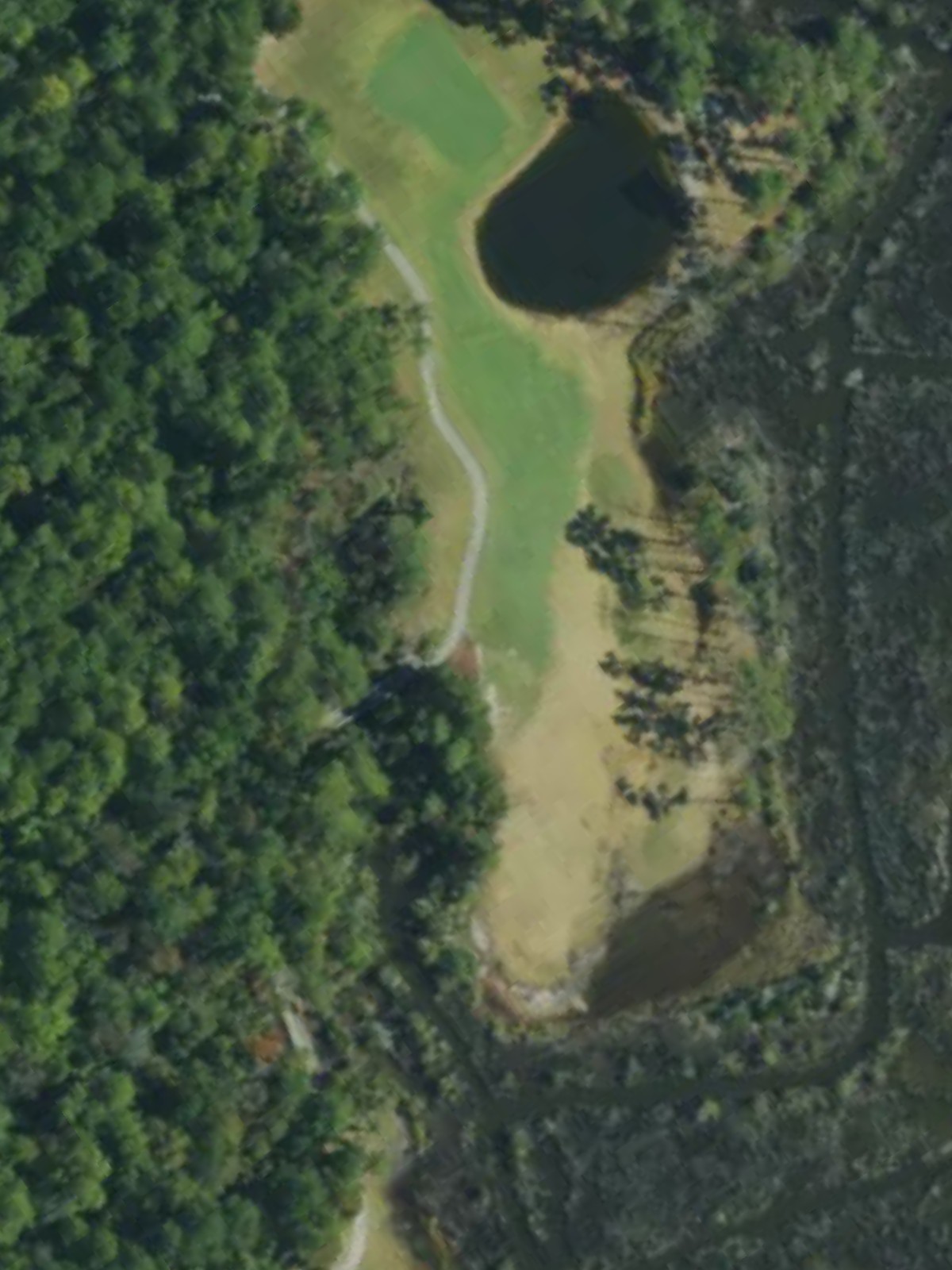 Hole 15 satellite