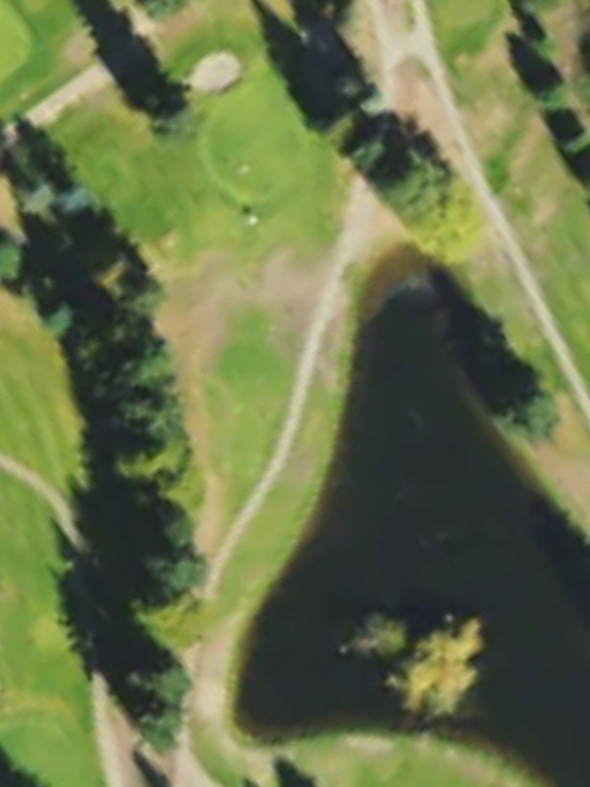Hole 4 satellite