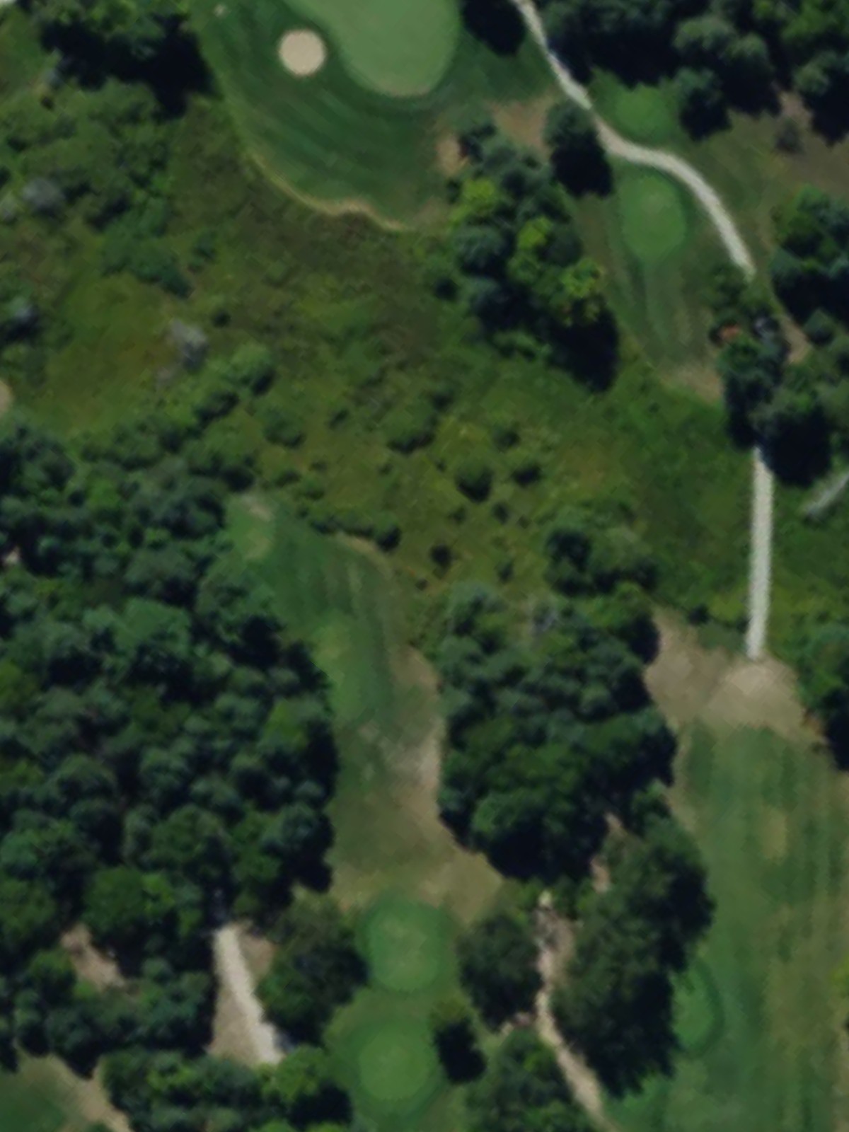 Hole 8 satellite