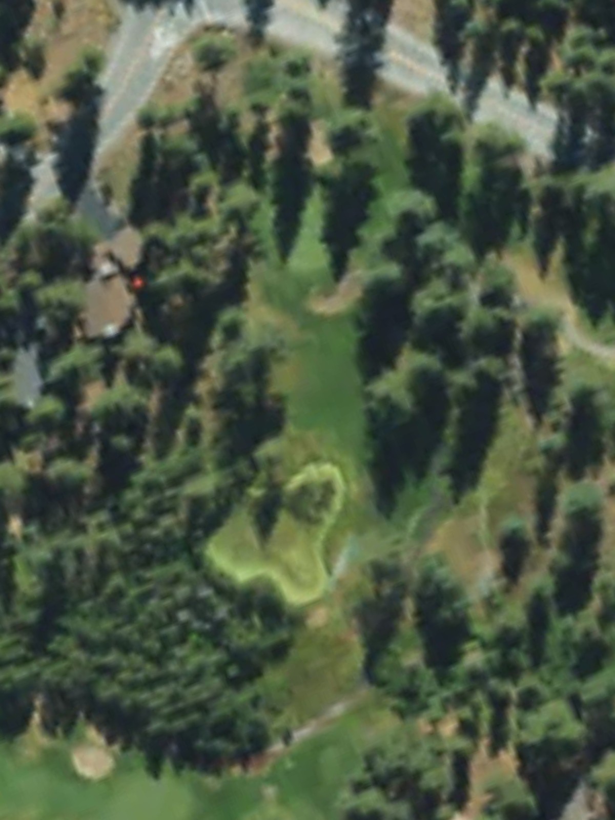 Hole 13 satellite