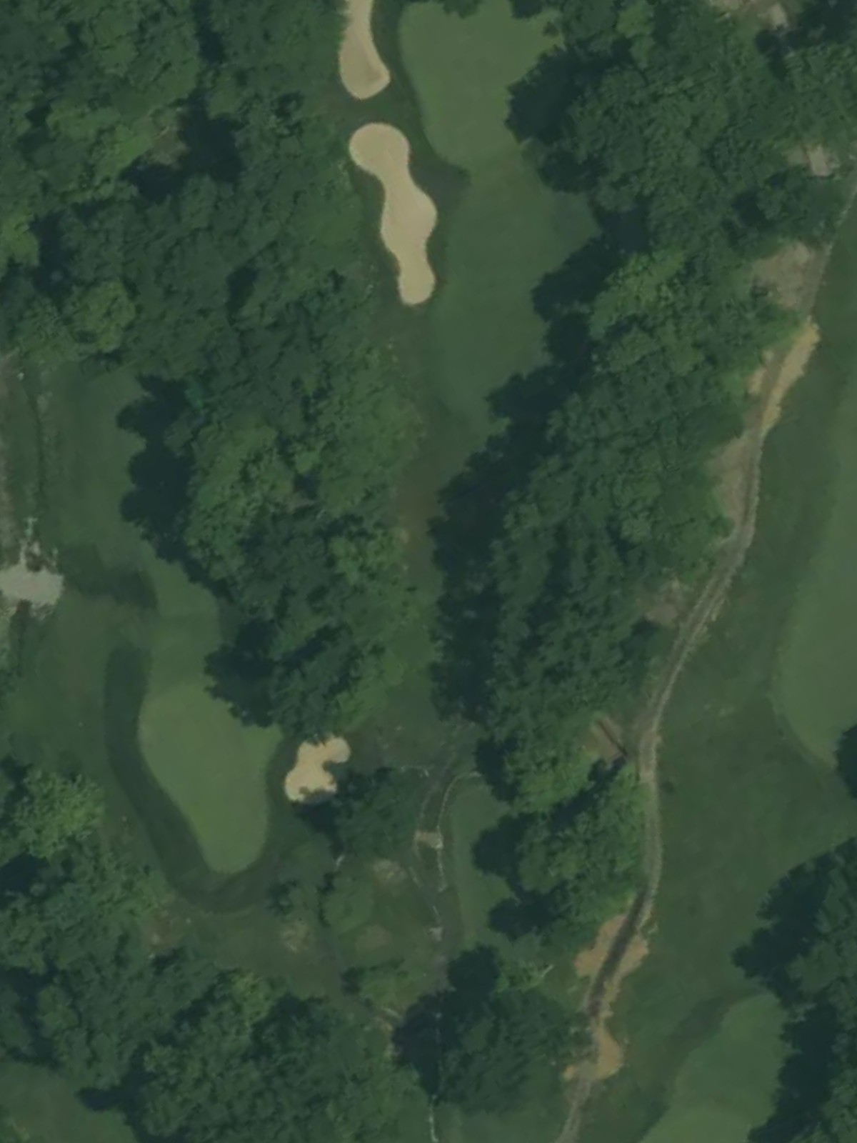 Hole 15 satellite