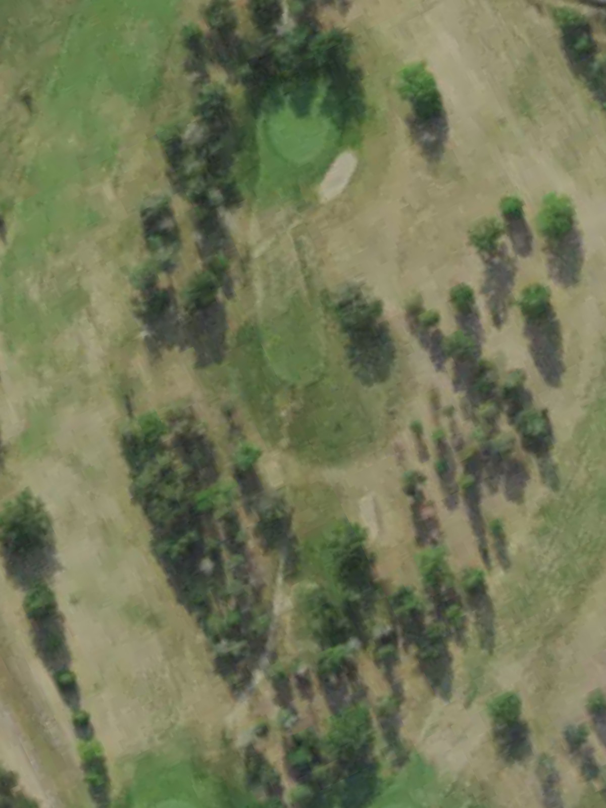 Hole 7 satellite