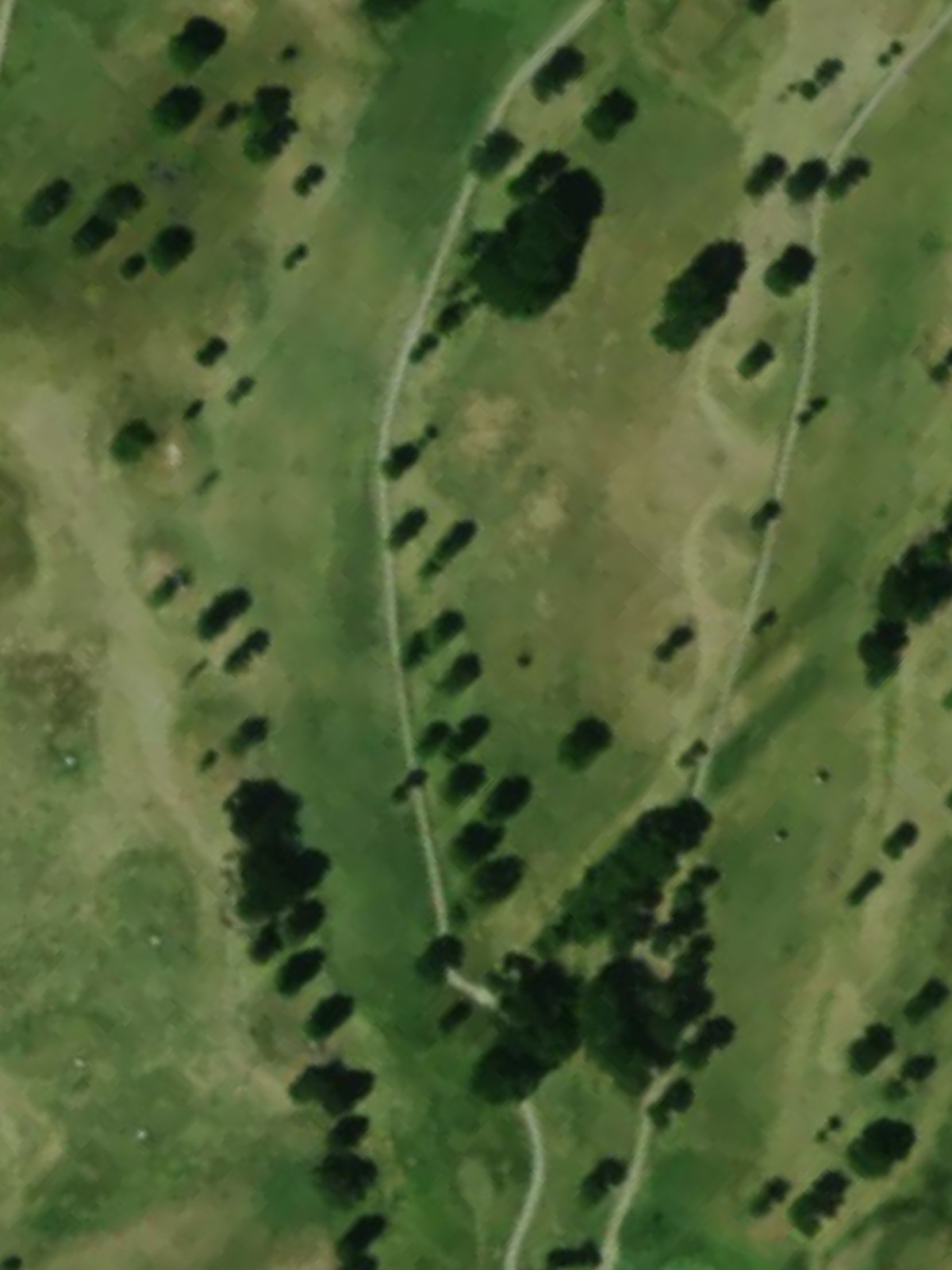 Hole 10 satellite
