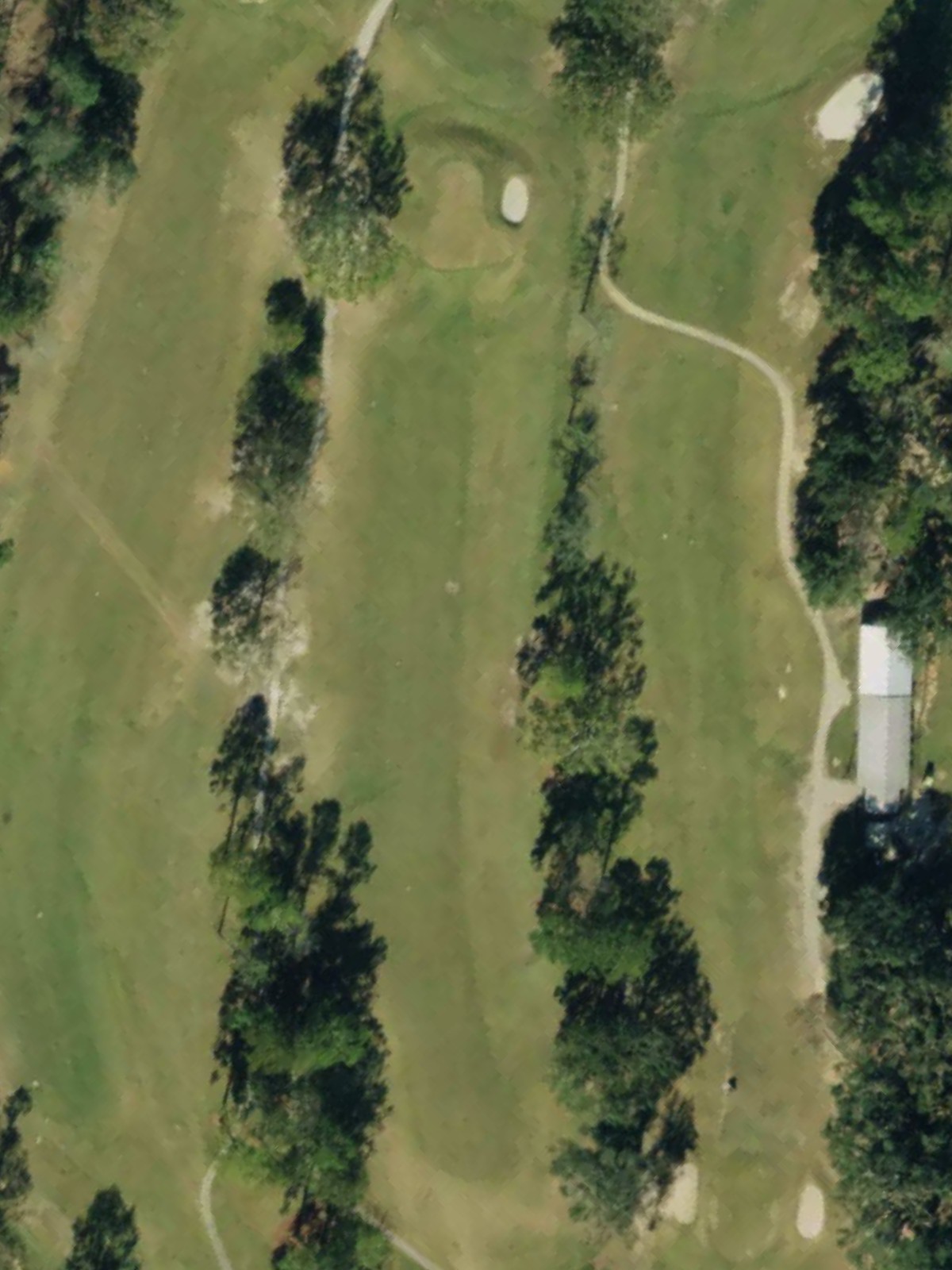 Hole 12 satellite