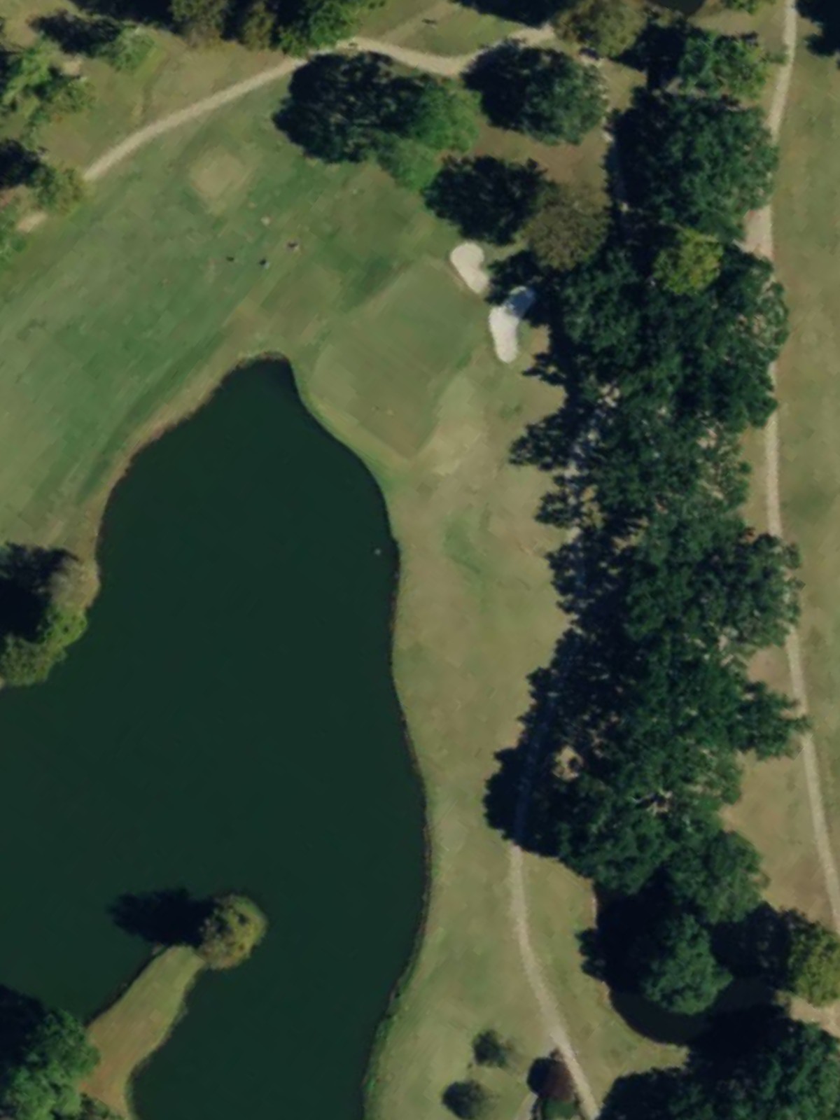 Hole 15 satellite