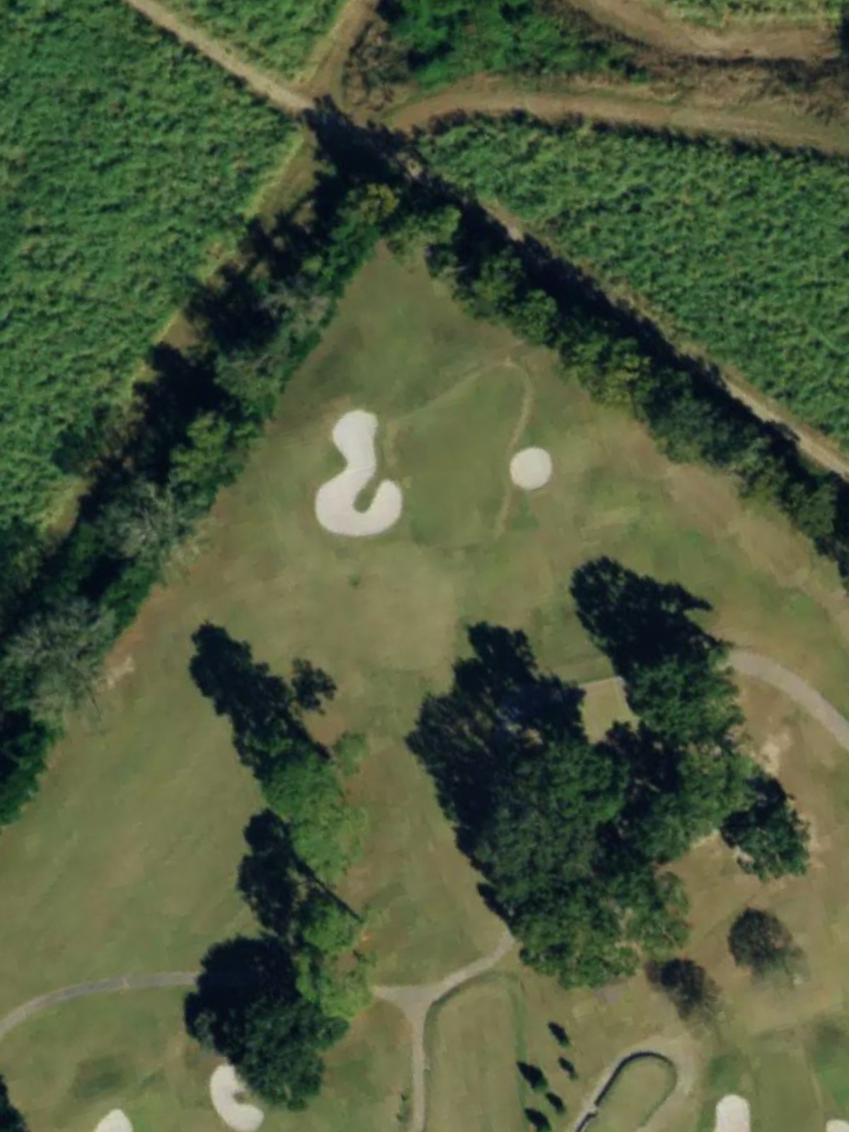 Hole 4 satellite