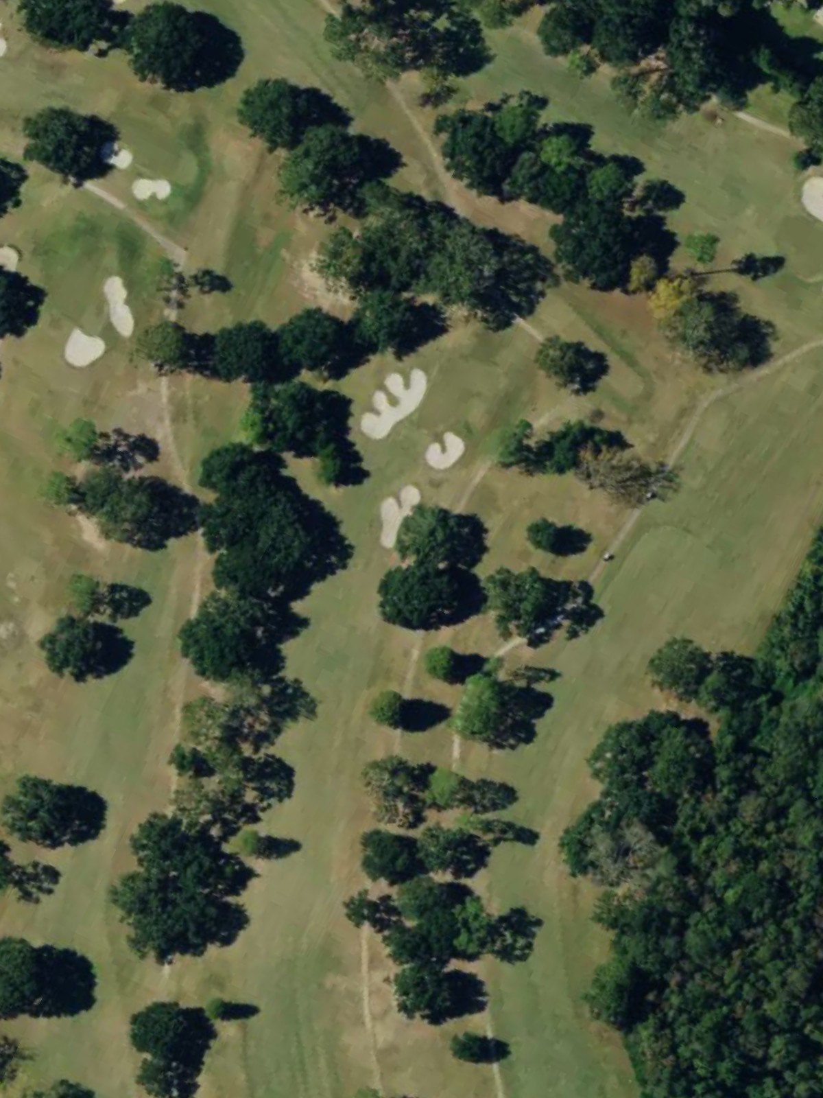Hole 7 satellite