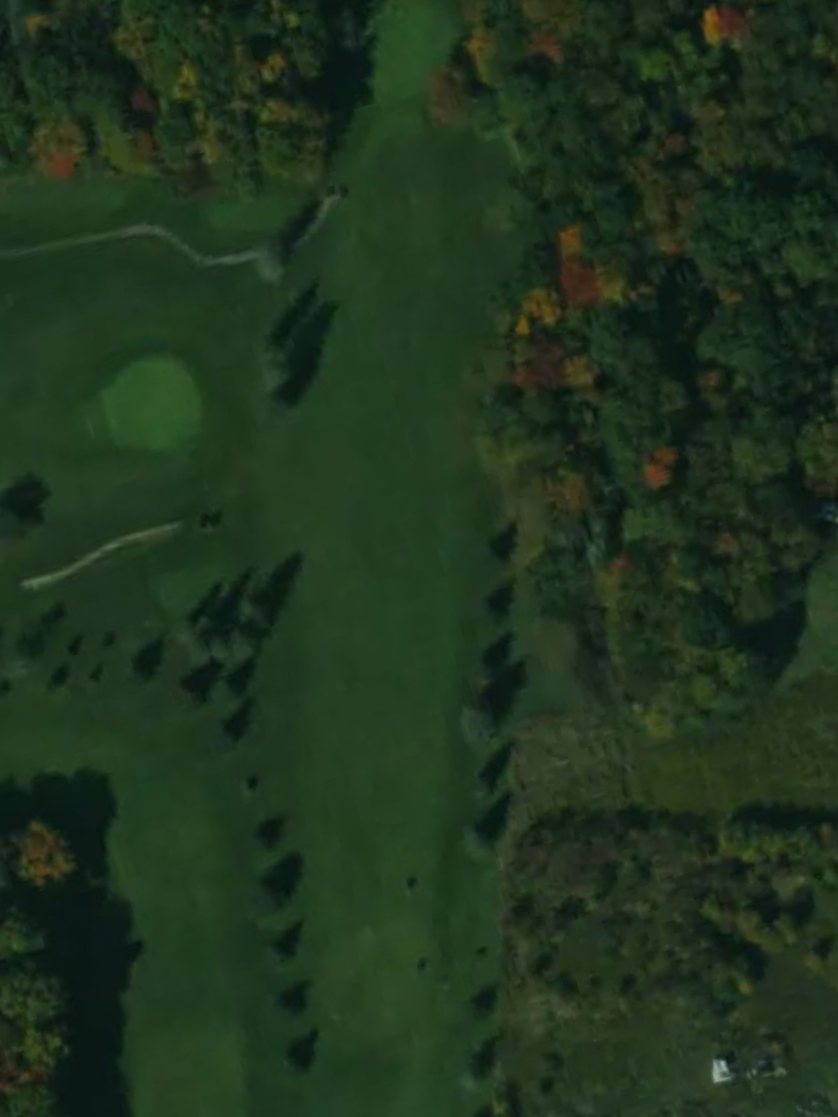 Hole 11 satellite