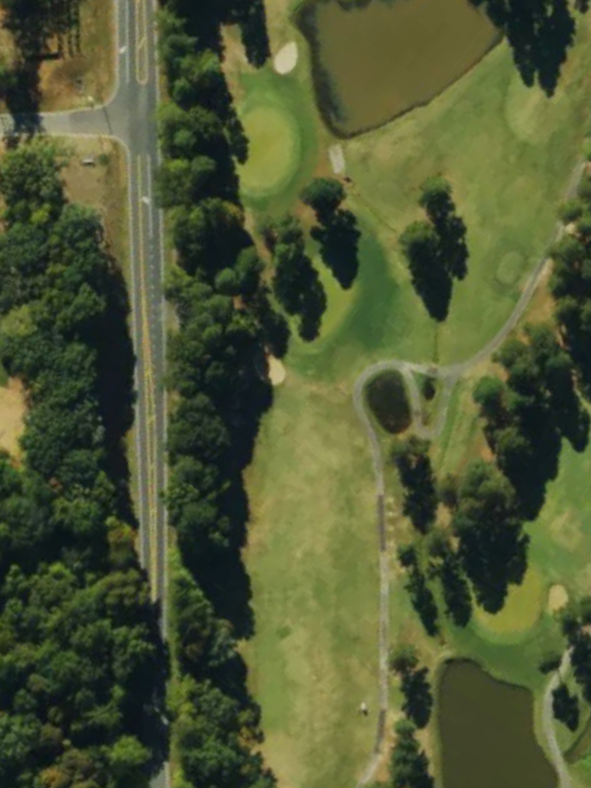 Hole 13 satellite