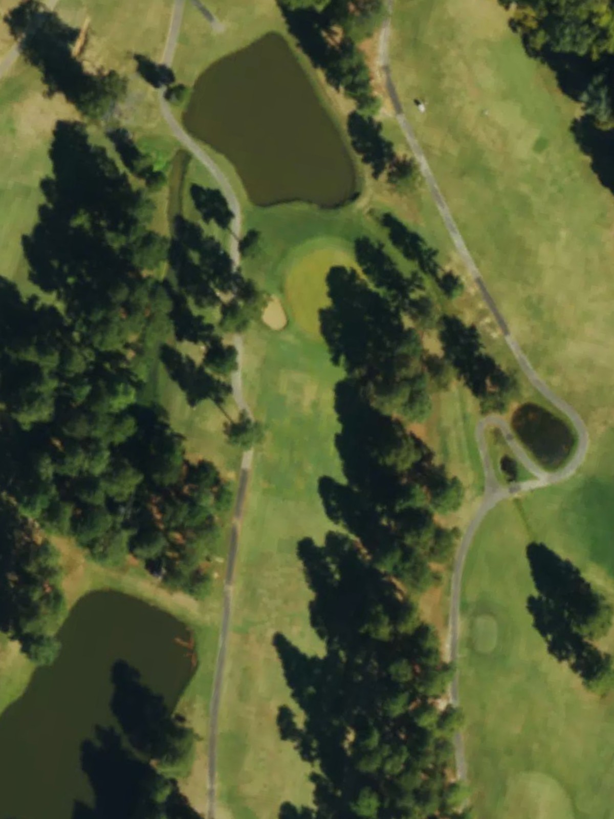 Hole 15 satellite