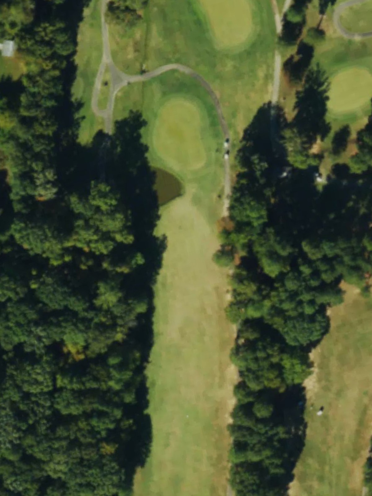Hole 6 satellite