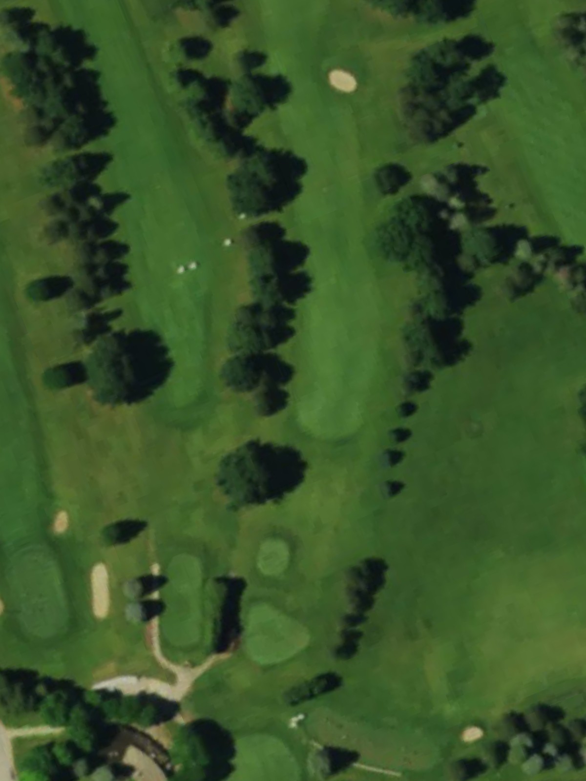 Hole 10 satellite
