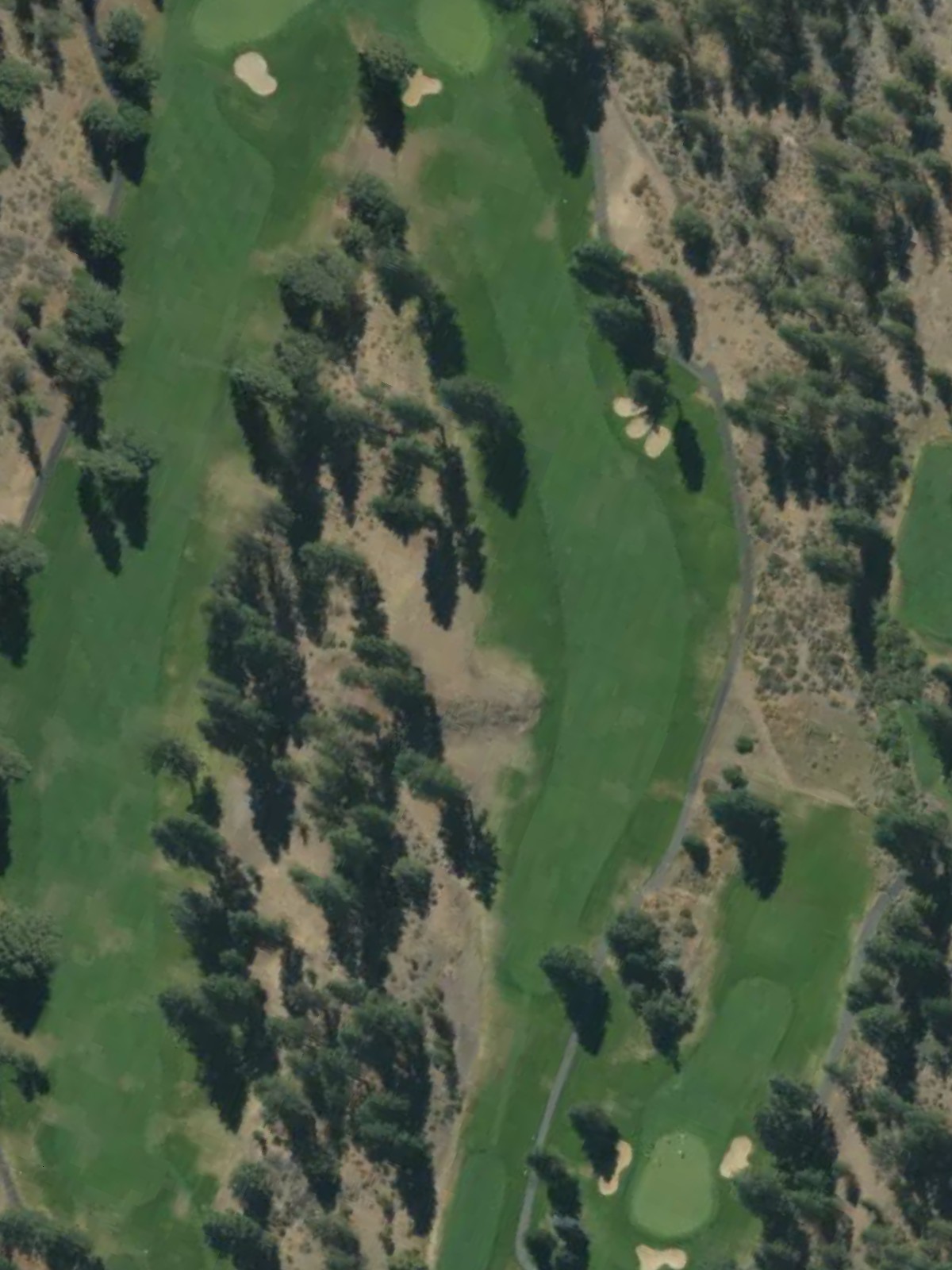 Hole 7 satellite