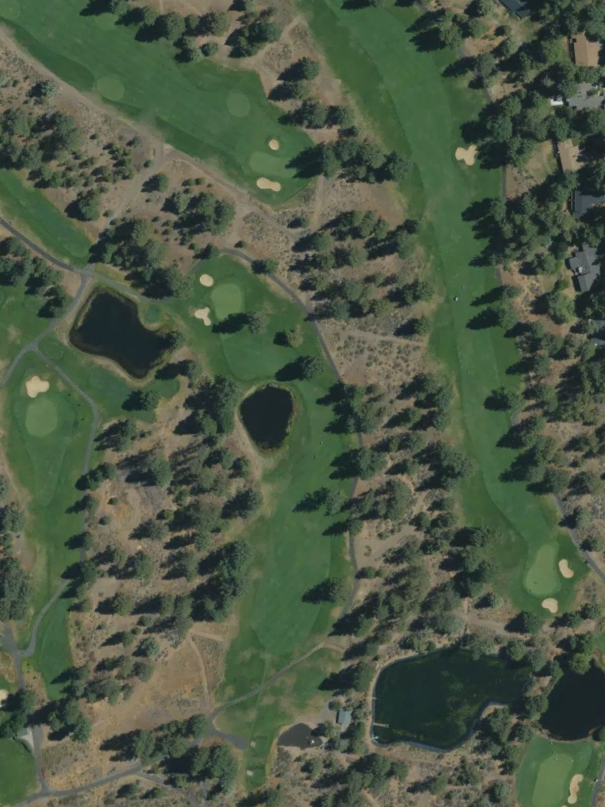 Hole 8 satellite
