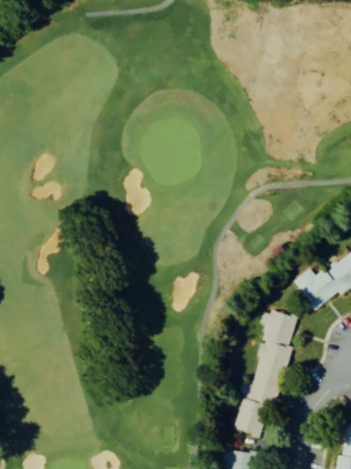 Hole 7 satellite
