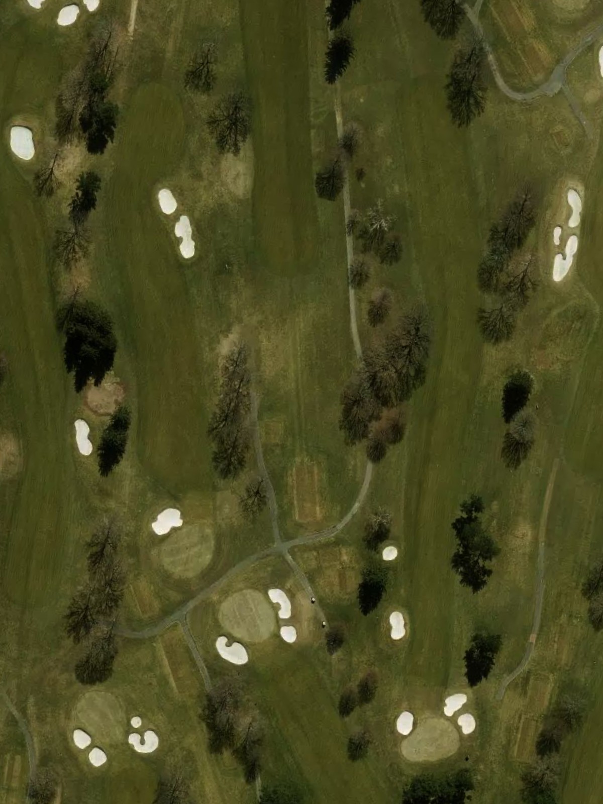 Hole 8 satellite