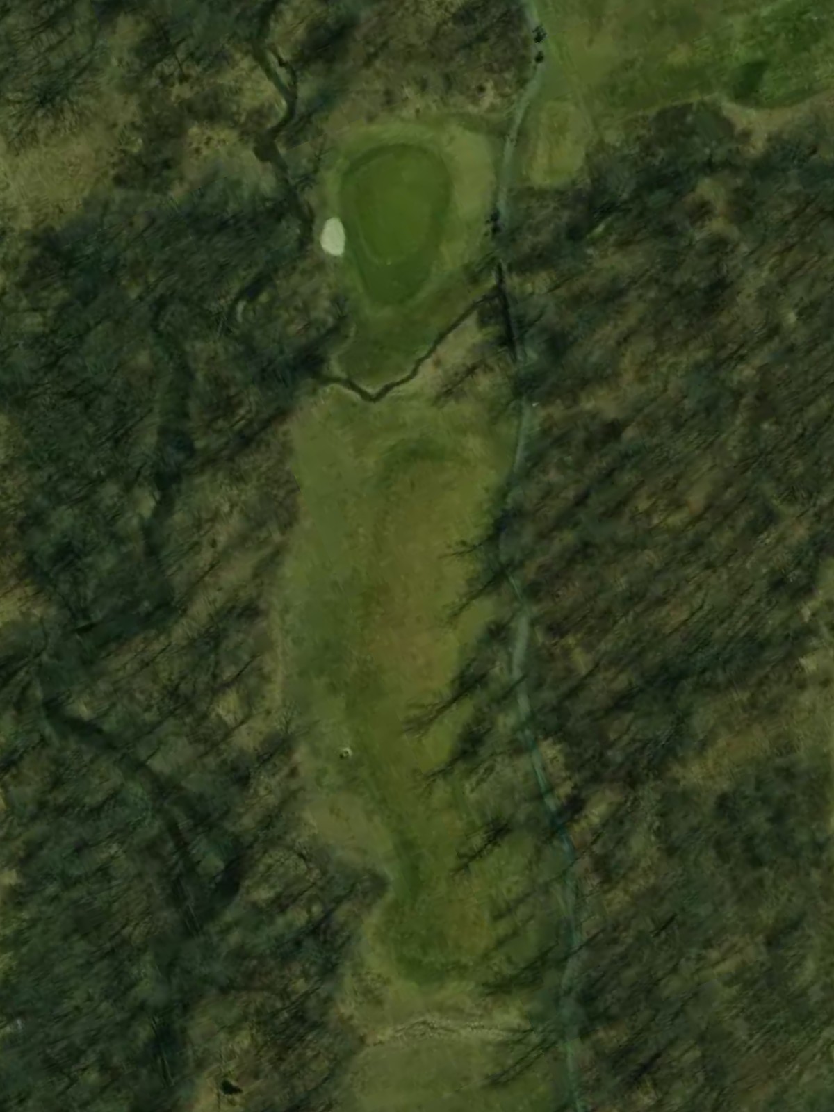 Hole 7 satellite