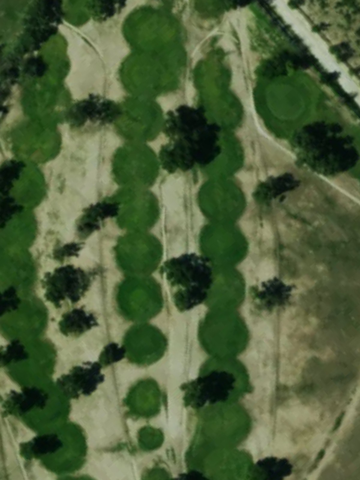 Hole 5 satellite