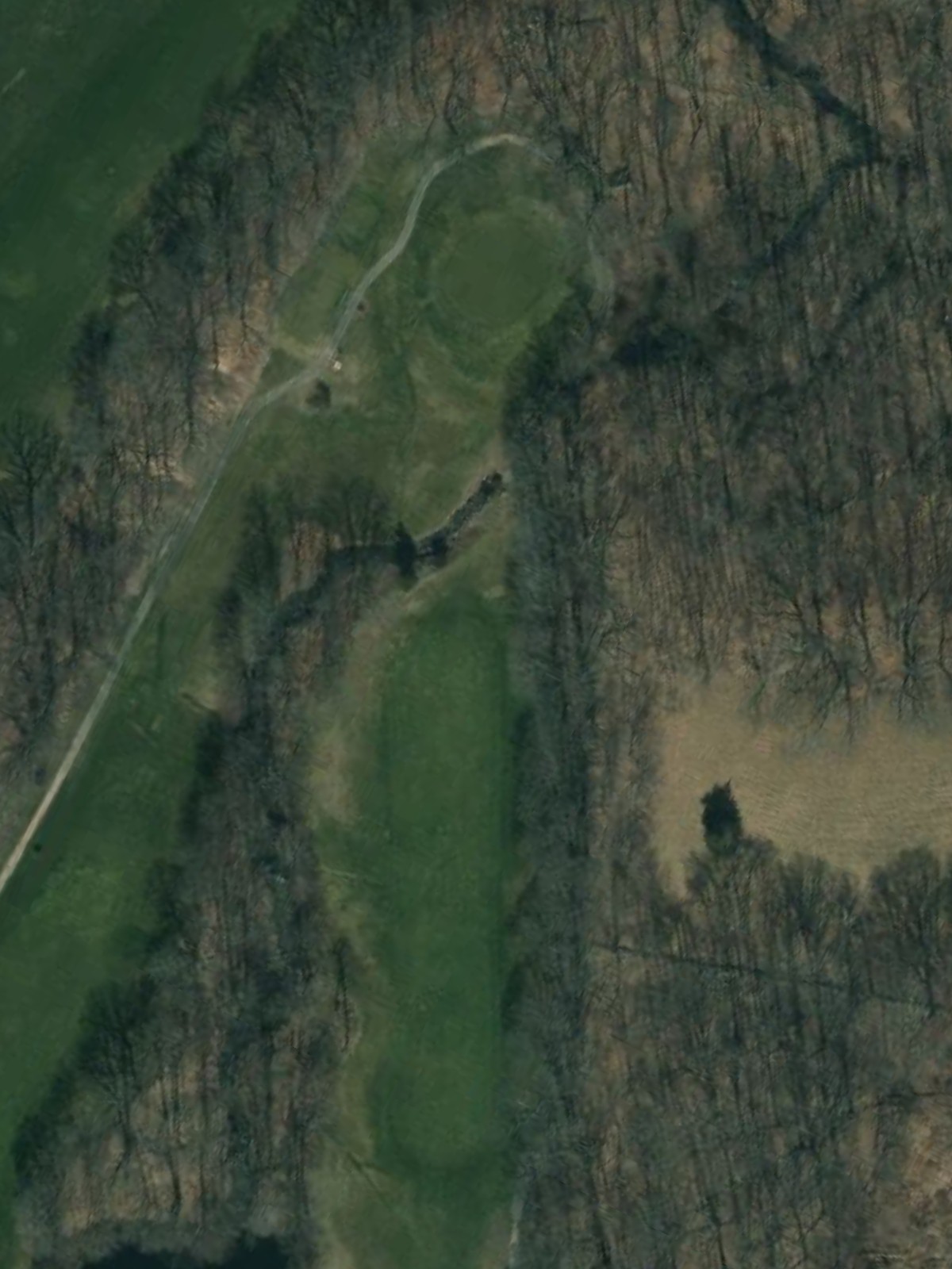 Hole 15 satellite