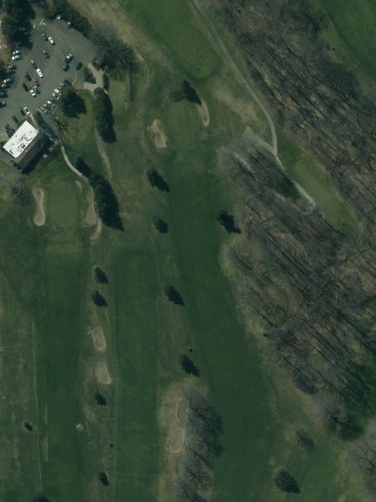 Hole 7 satellite