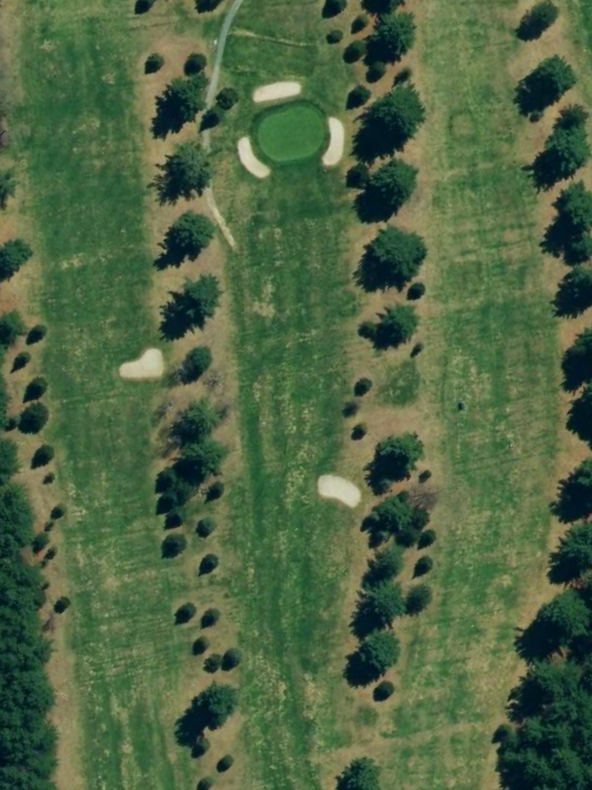 Hole 12 satellite