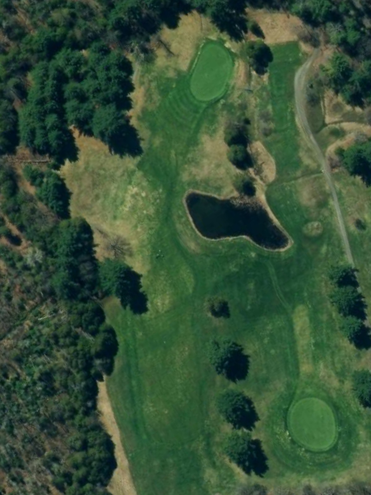 Hole 7 satellite